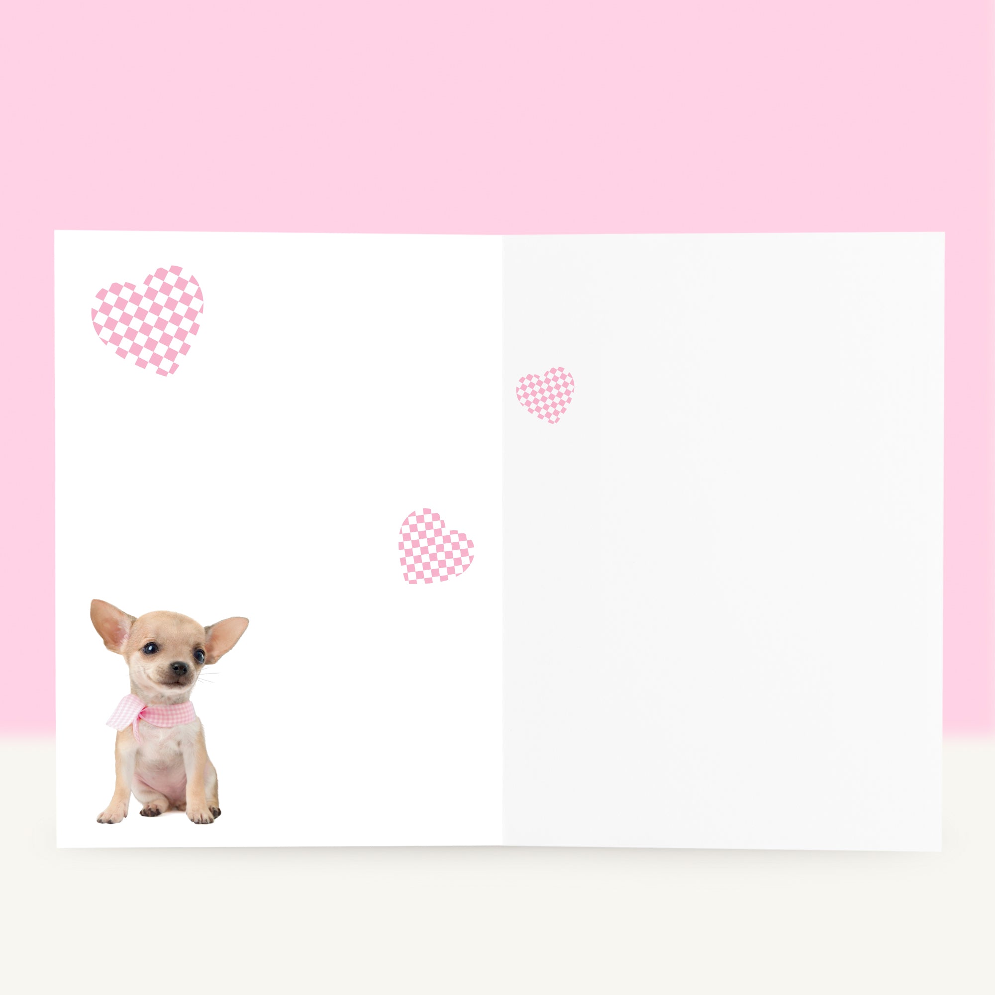 Puppy Beterschapskaart - Pinkie de Chihuahua