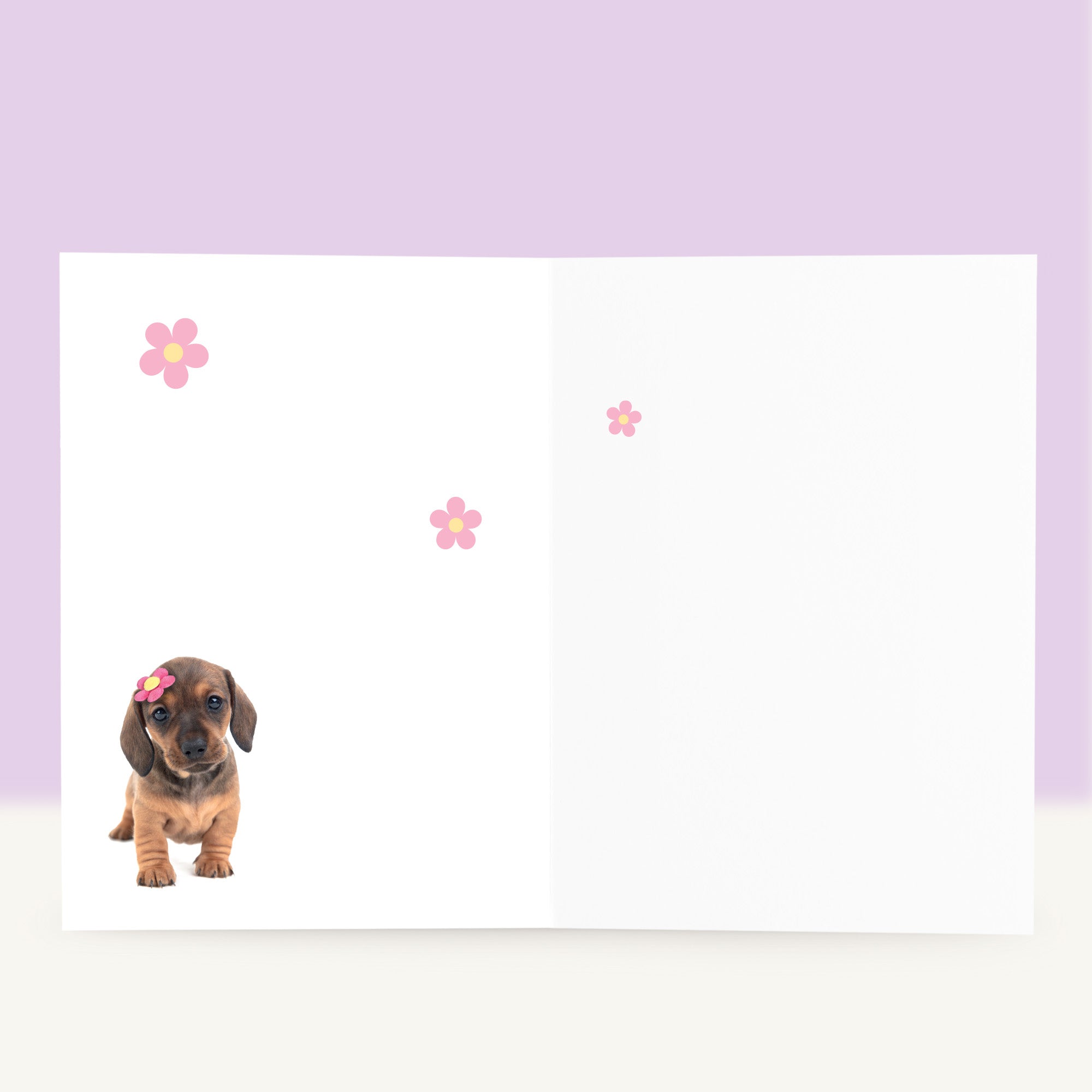 Puppy Verjaardagskaart - Daisy de Teckel