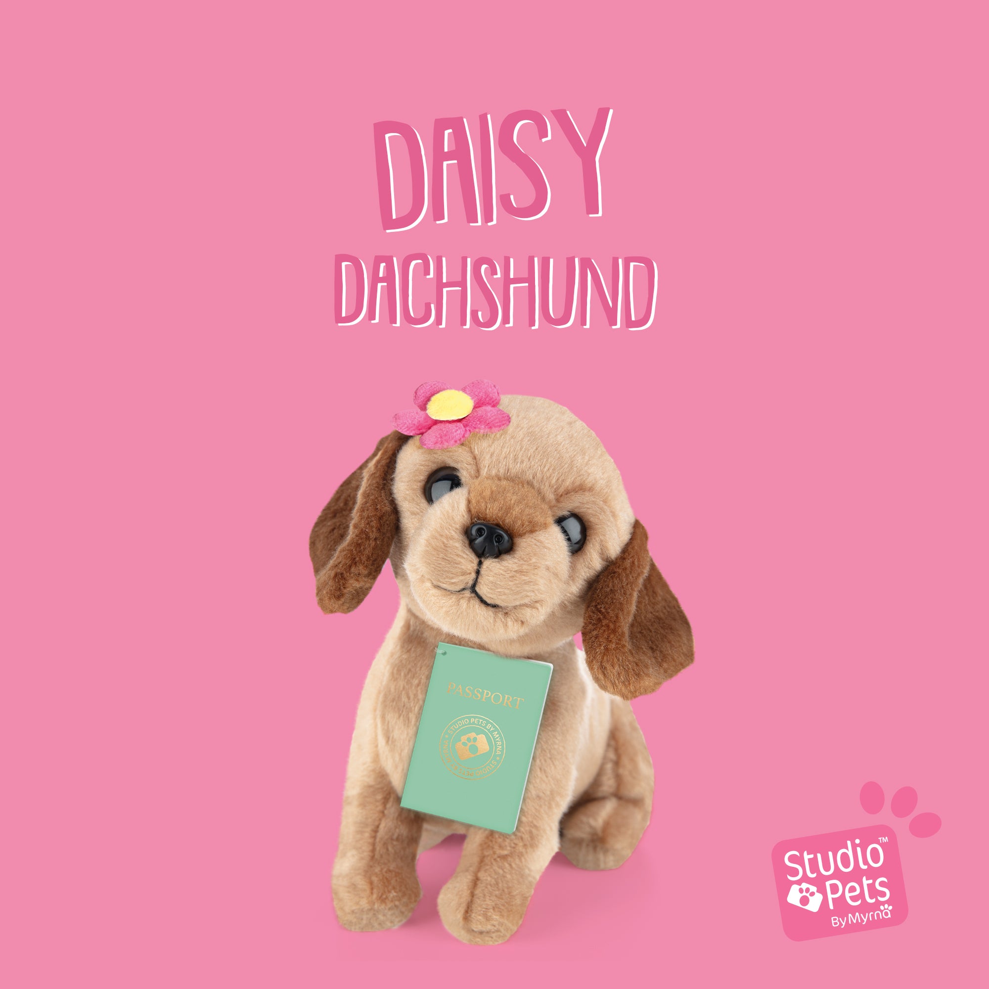 Ontmoet Daisy – Onze Dwerg Teckel Knuffel van 16 cm