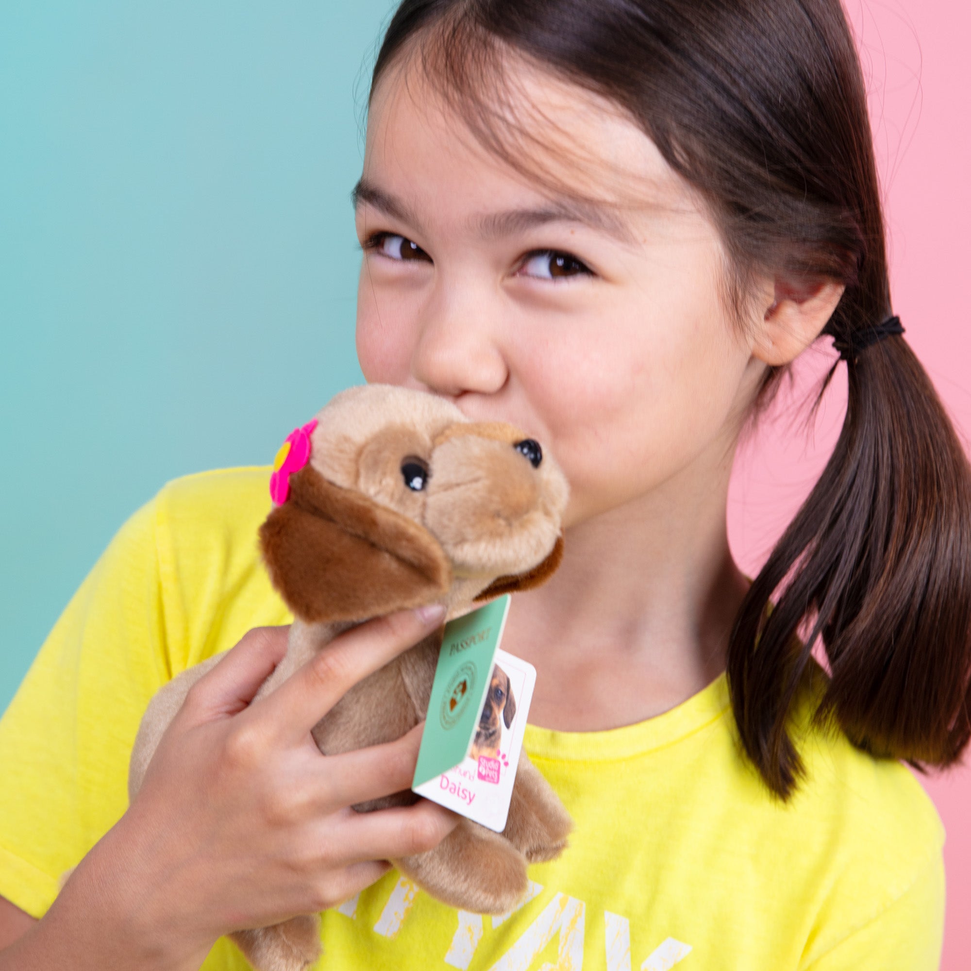 Ontmoet Daisy – Onze Dwerg Teckel Knuffel van 16 cm