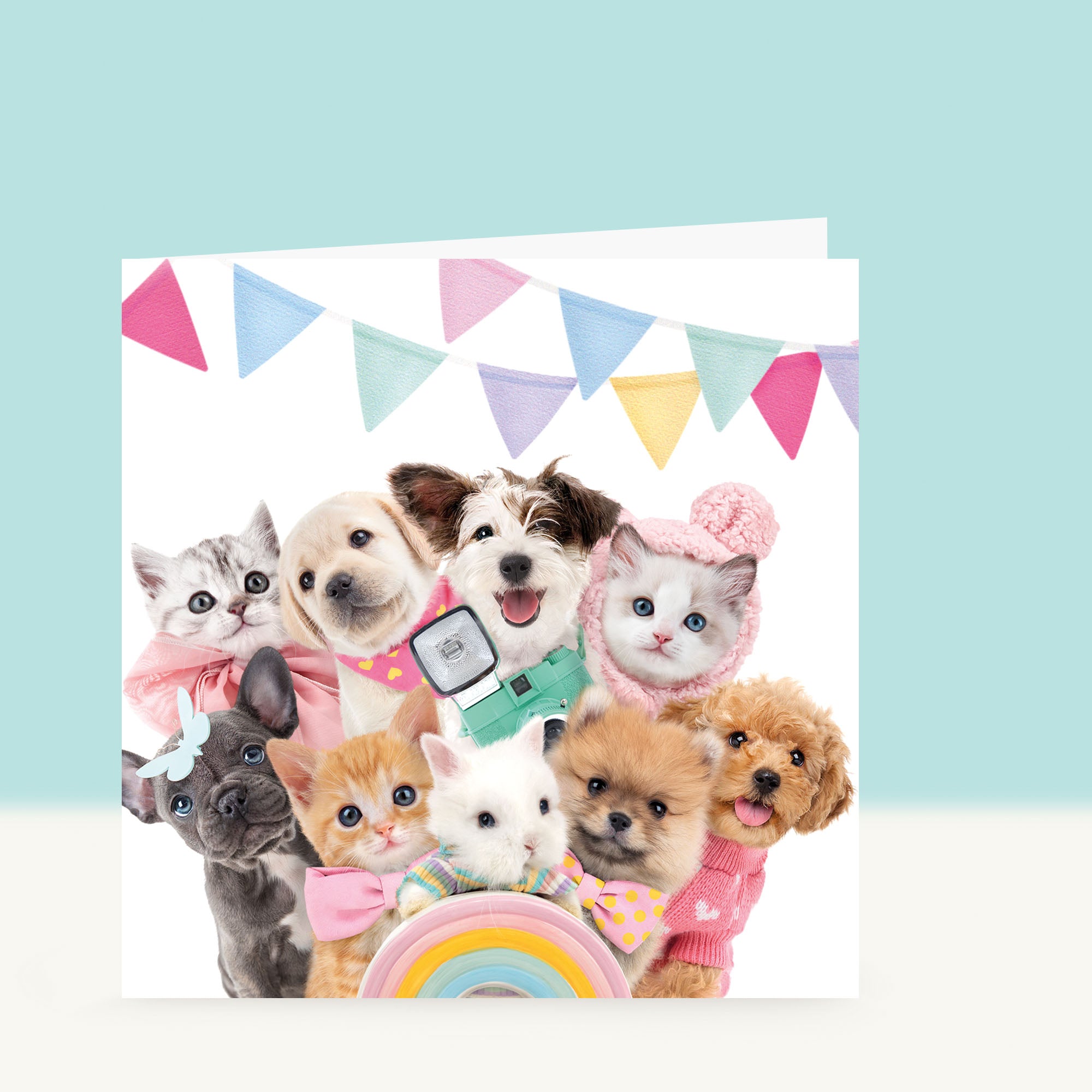 Verjaardagskaart dierenfamilie Studio Pets