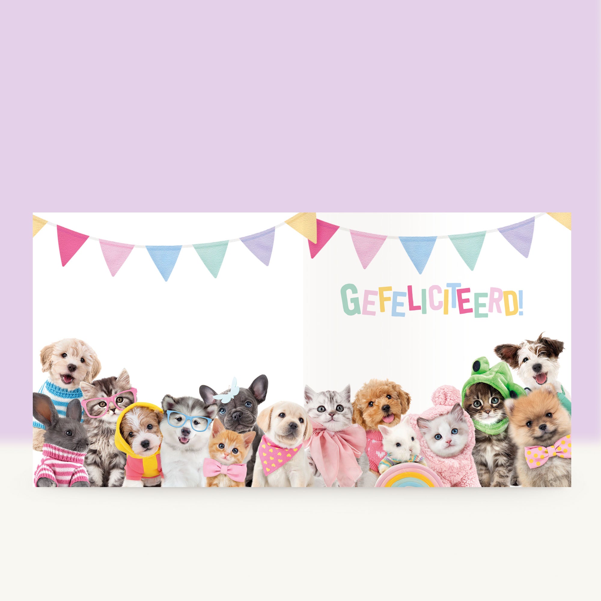 Verjaardagskaart dierenfamilie Studio Pets