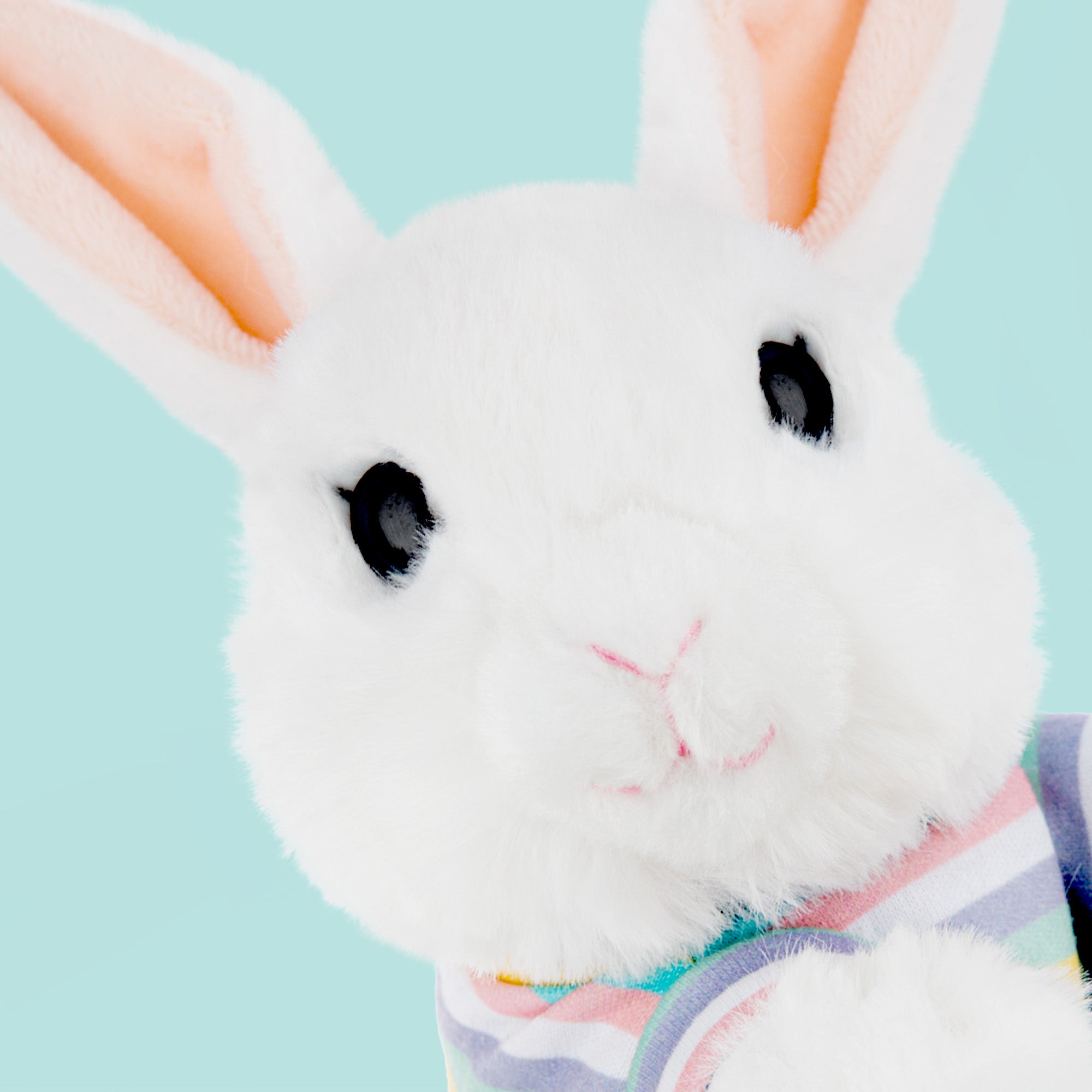 Ontmoet BunBun – Onze Hollands Dwerg Konijn Knuffel van 16 cm