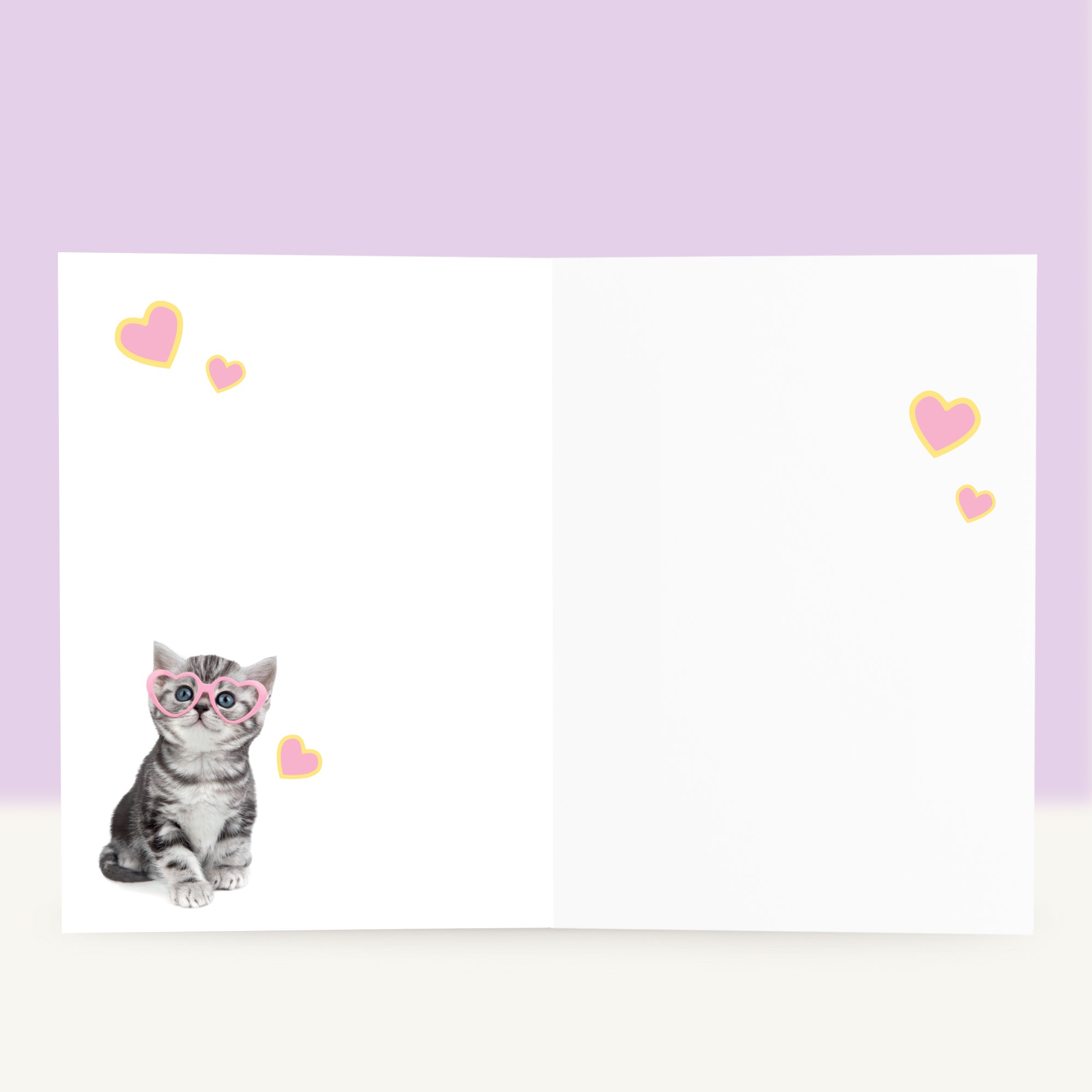 Verjaardagskaart “It’s your Birthday” met het Britse Korthaar kitten