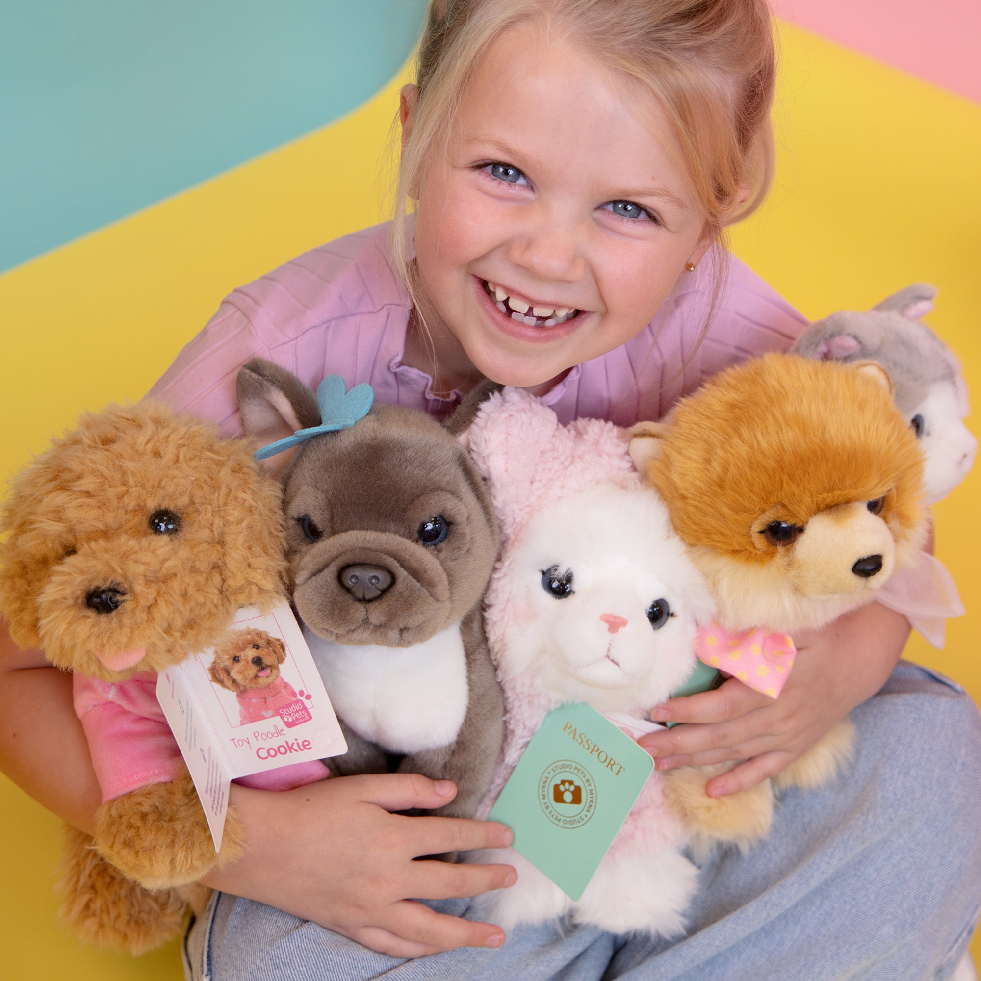 Pluche knuffelkat met Naam Ragdoll 23cm - Set met koffertje
