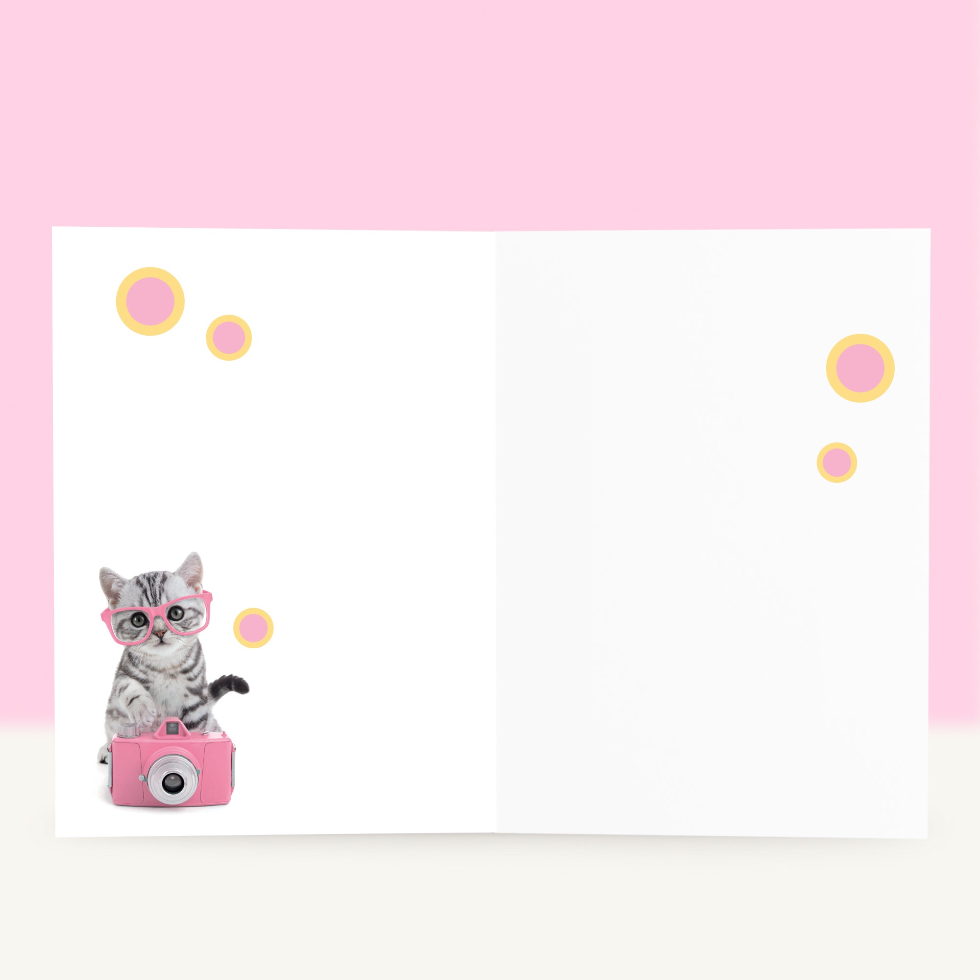 Wenskaart “Yeah! Strike a pose” met Britse Korthaar kitten
