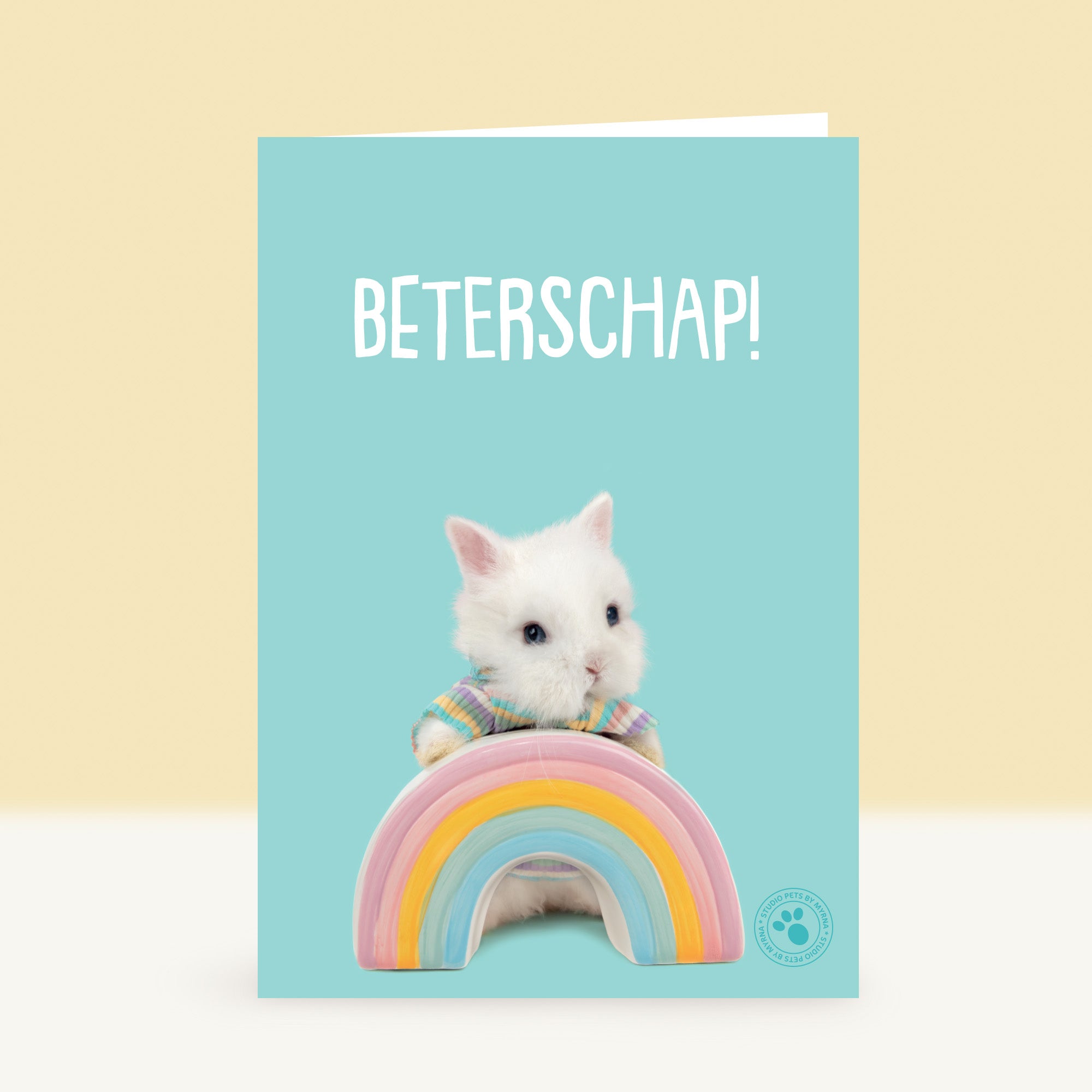 Konijn Beterschapskaart - BunBun het Dwergkonijntje NL