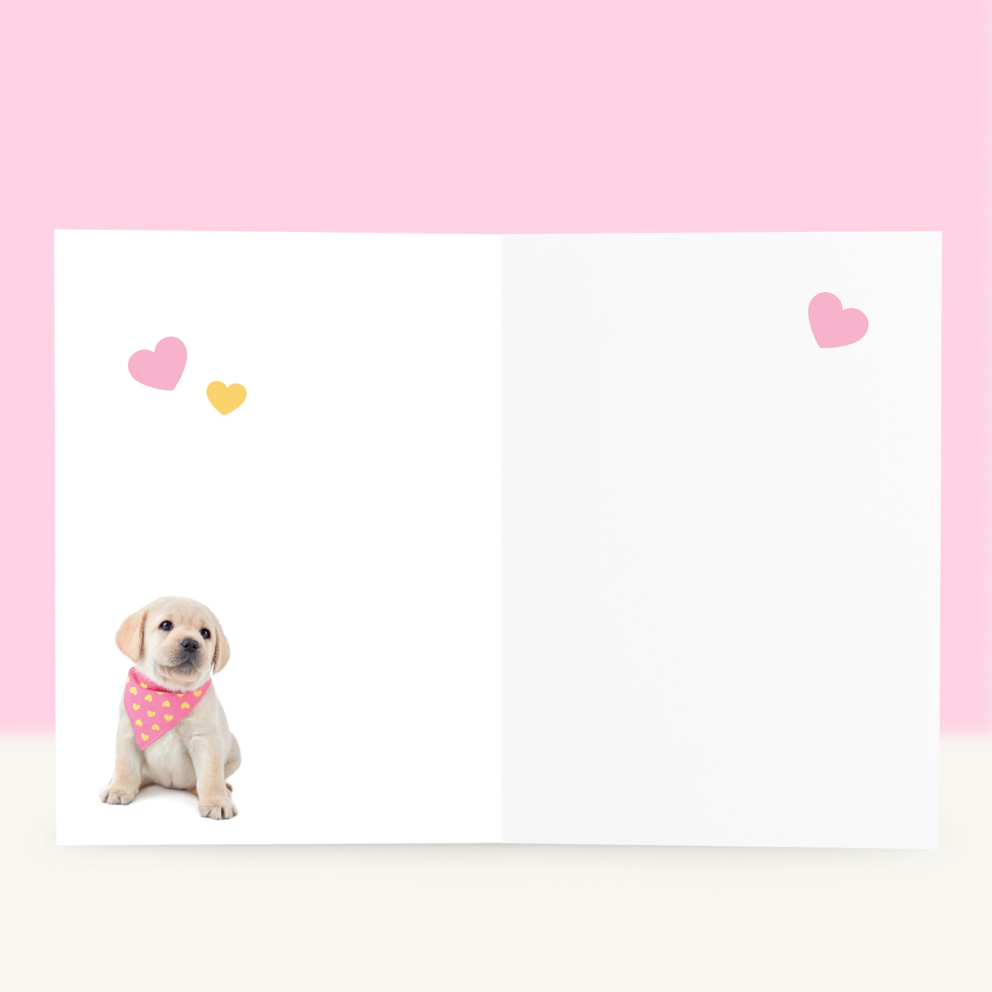 Puppy Beterschapskaart - Happy de Blonde Labrador
