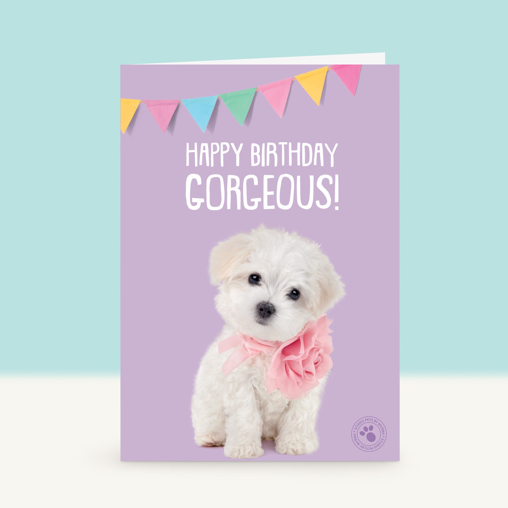 Puppy Verjaardagskaart - Flora de Maltezer