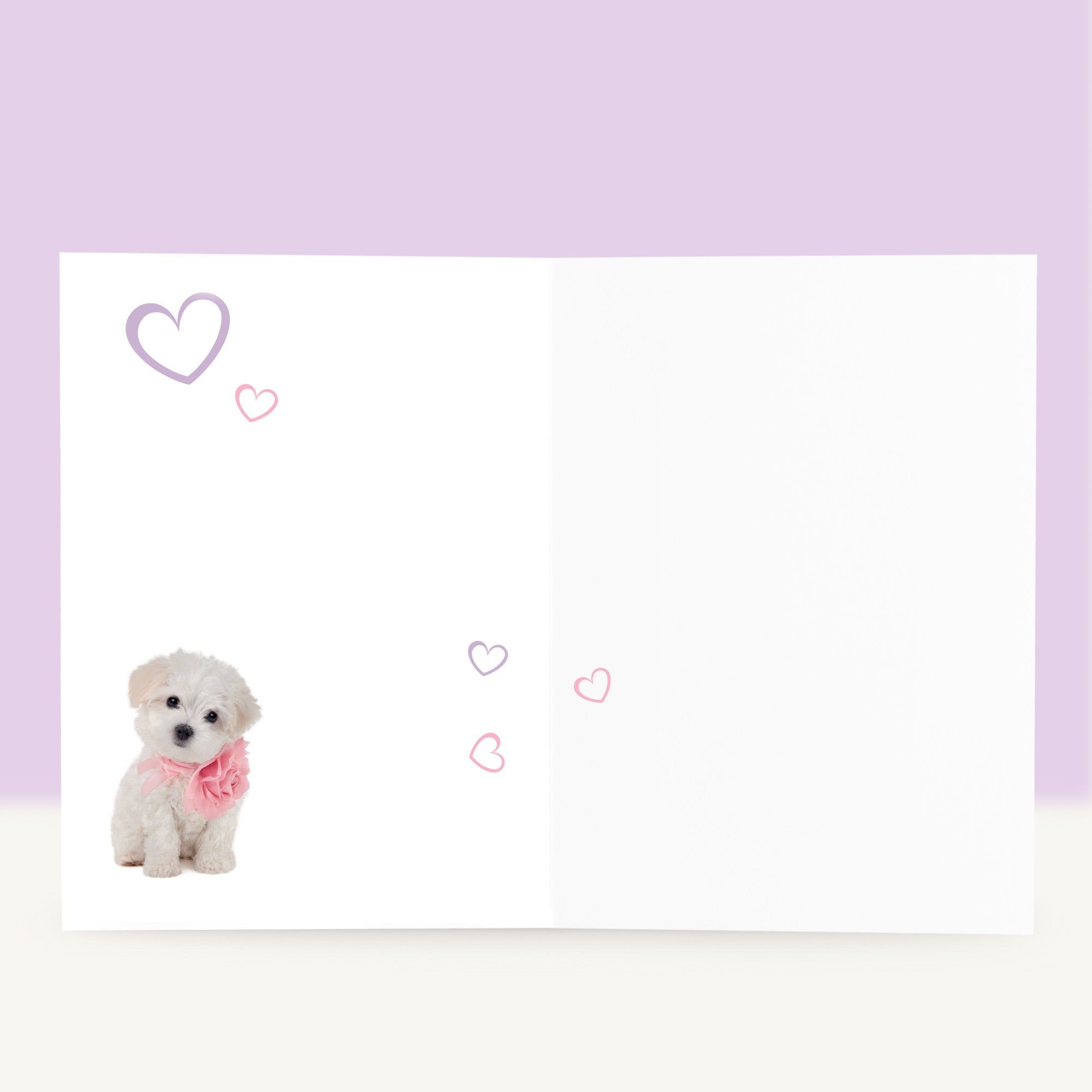 Puppy Verjaardagskaart - Flora de Maltezer