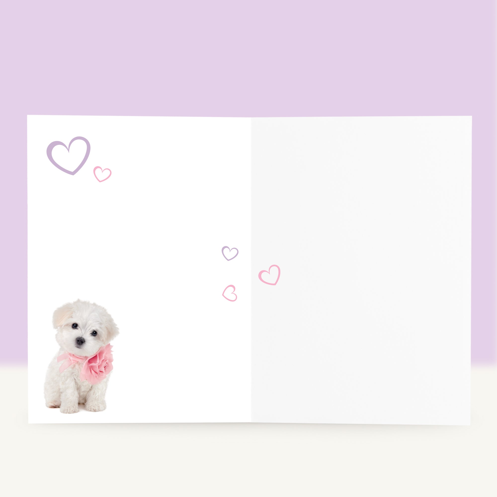 Puppy Beterschapskaart - Flora de Maltezer