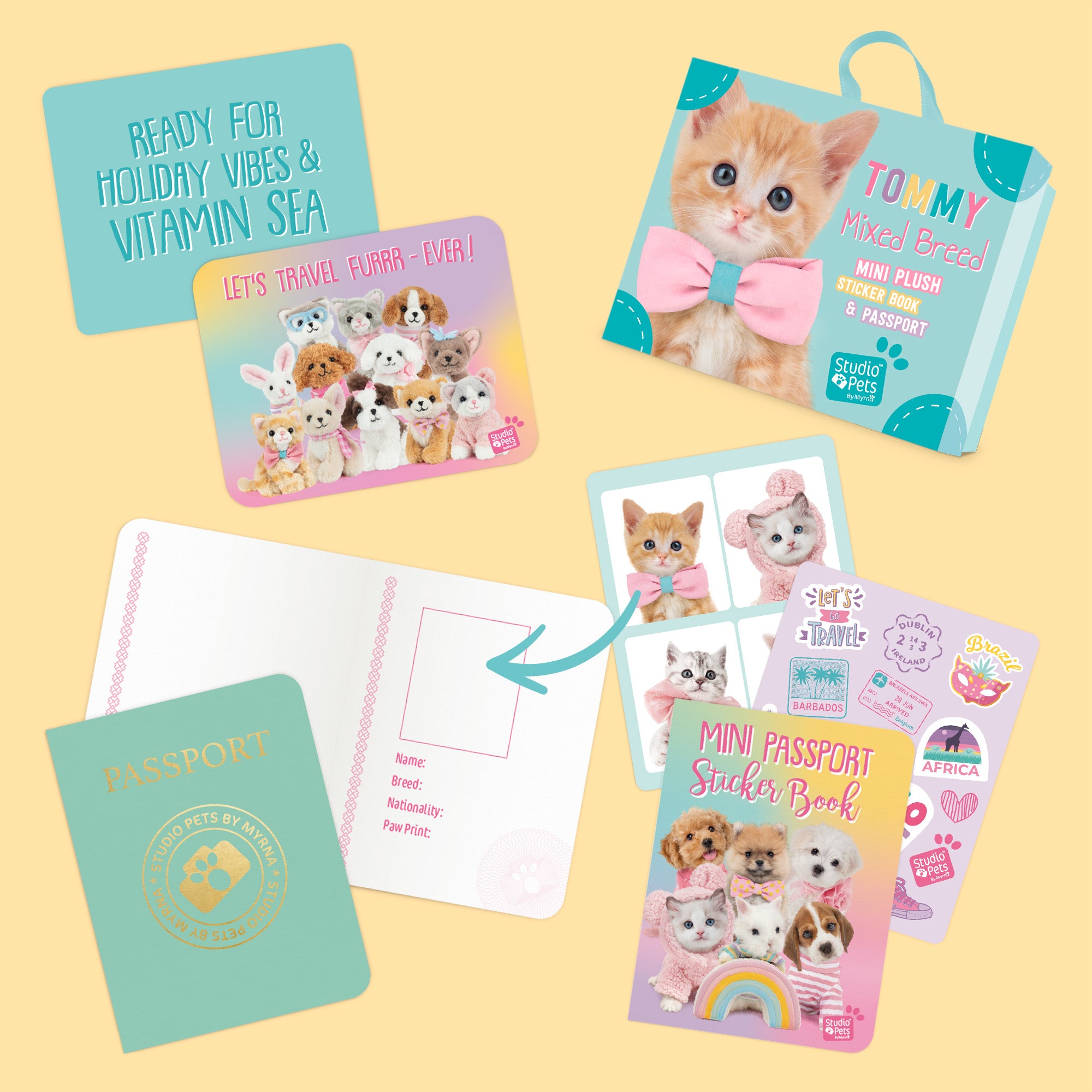 Mini Kattenknuffeltje Tommy met Koffertje - Jouw Schattige Pluche Kitten!