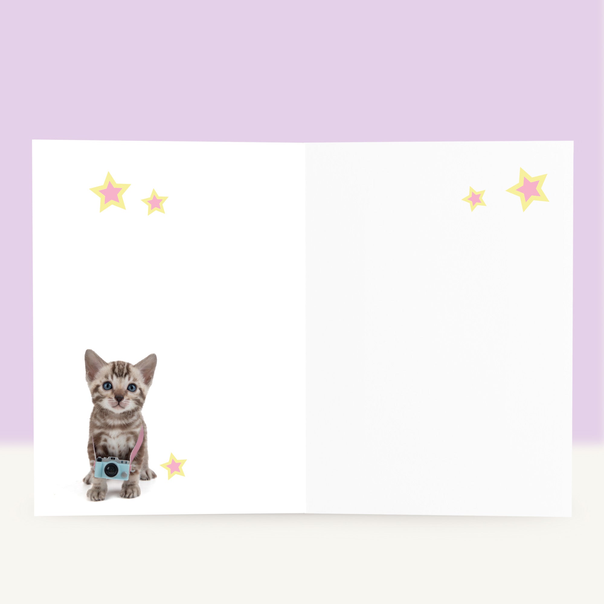 Wenskaart “My Star” met Bengaal kitten