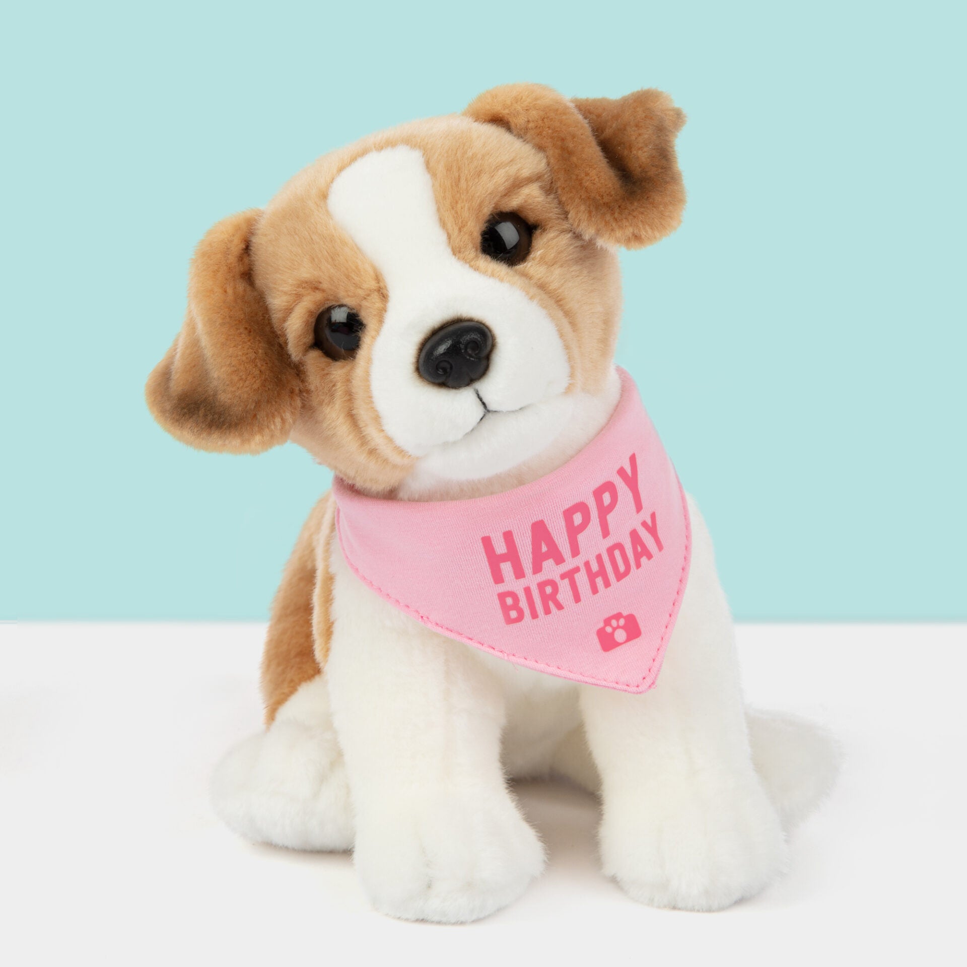 Bandana 'Happy Birthday'- Roze