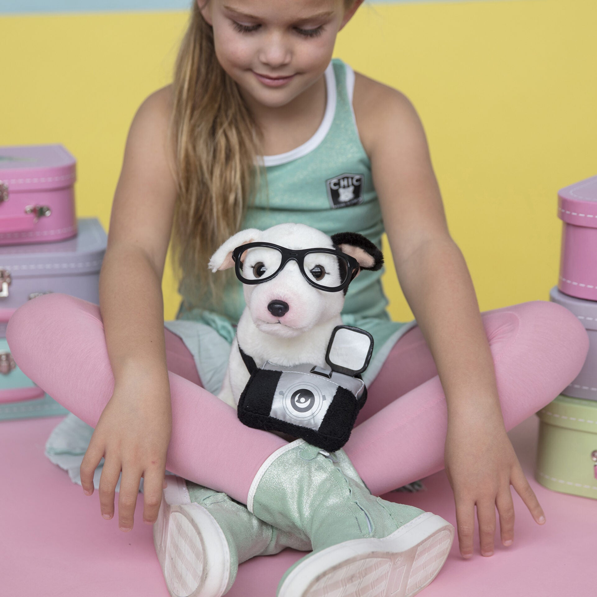Pluche knuffelhond Bull Terriër 23 cm - Set met koffertje