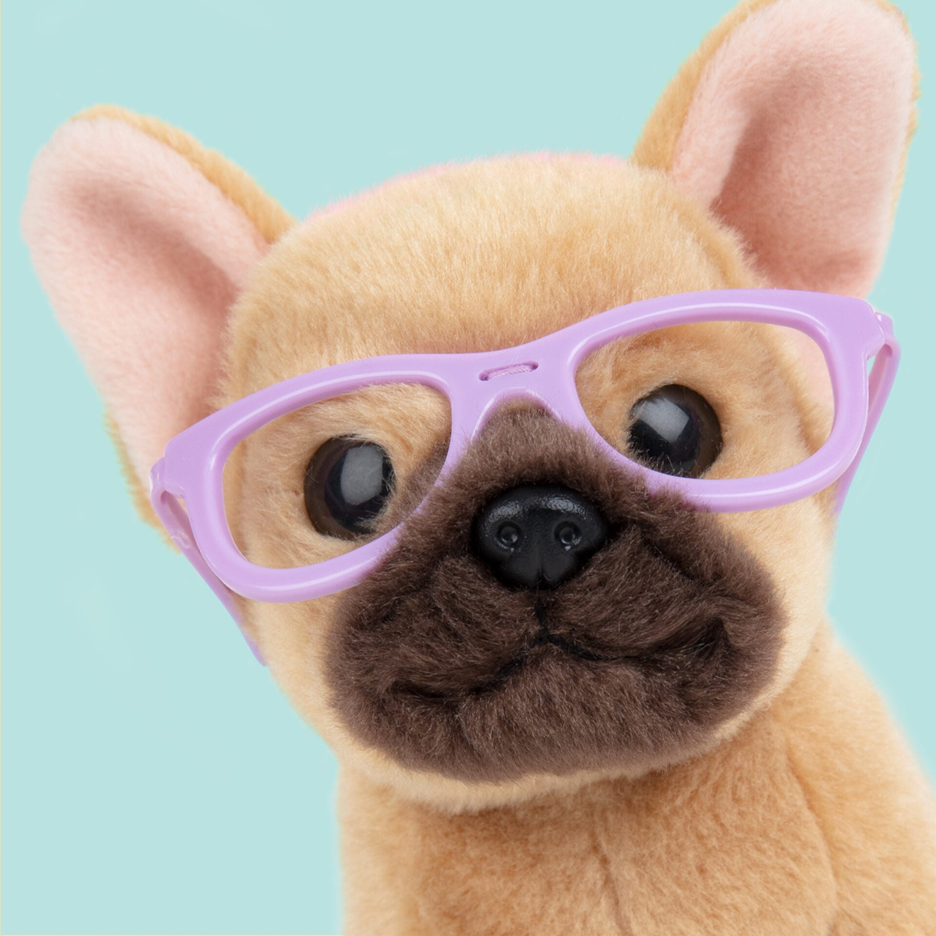 Pluche knuffelhond met Naam Franse Bulldog 16cm