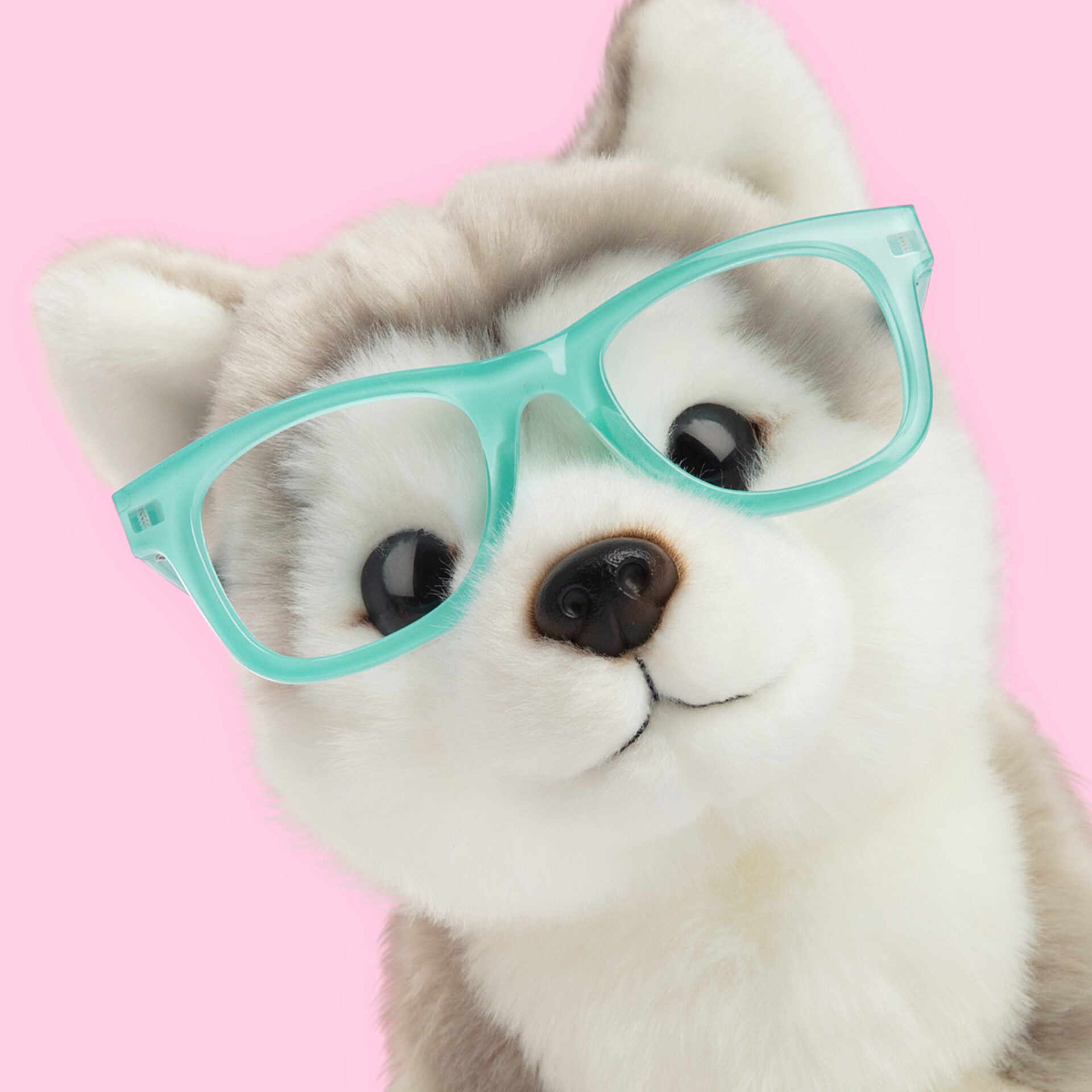 Pluche knuffelhond met naam Alaska Malamute 23cm