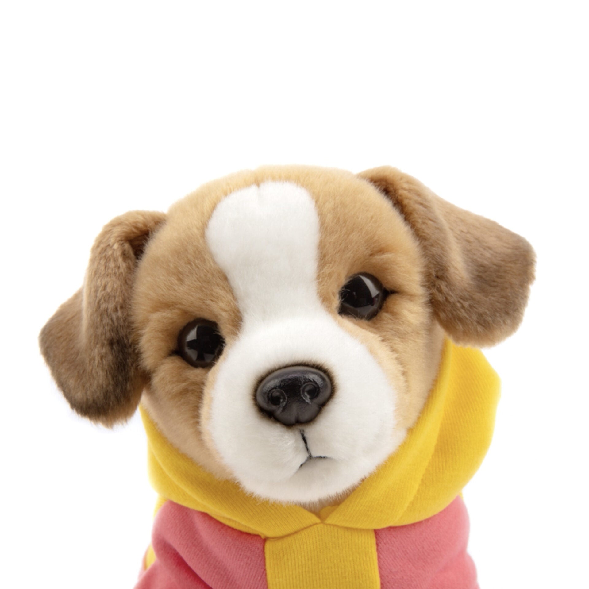 Ontmoet Jacky - Onze Jack Russell van 23 cm uit de Premium Collectie