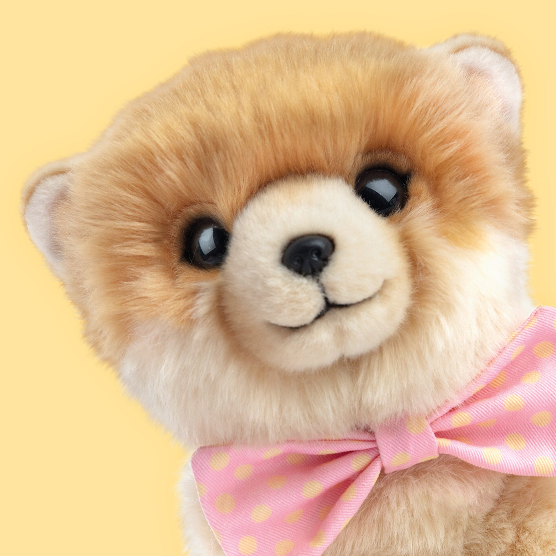 Ontmoet PomPom – Onze Pomeriaan Knuffel van 23 cm uit de Premium Collectie