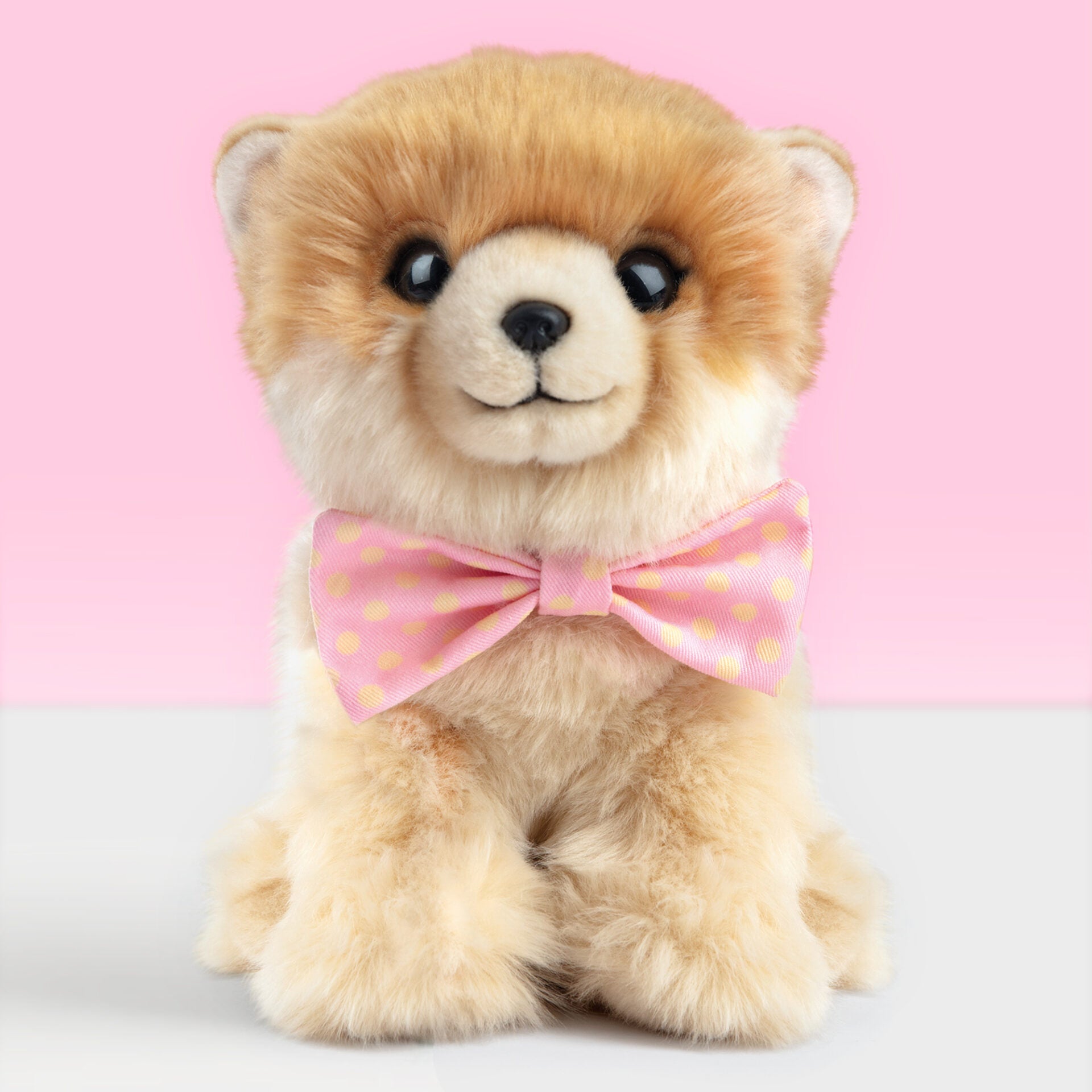 Pluche knuffelhond Pomeriaan 23cm - Set met koffertje