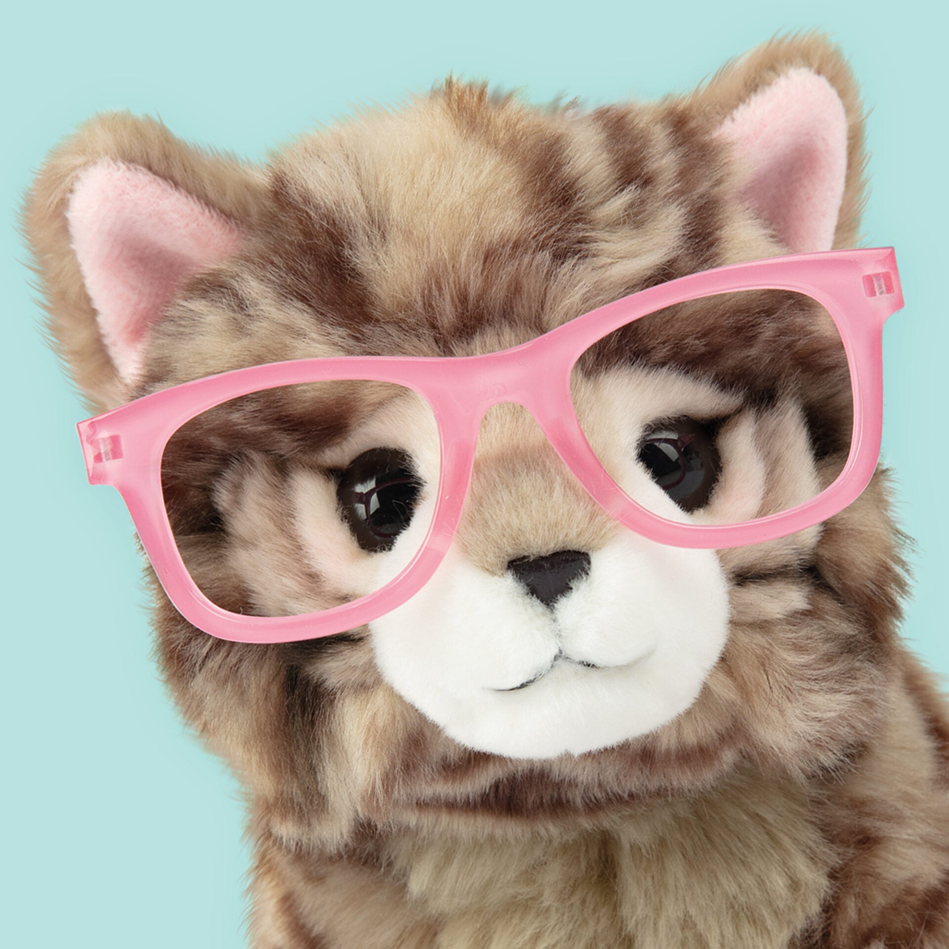 Pluche knuffelkat met Naam Britse Langhaar 23cm  - Set met koffertje