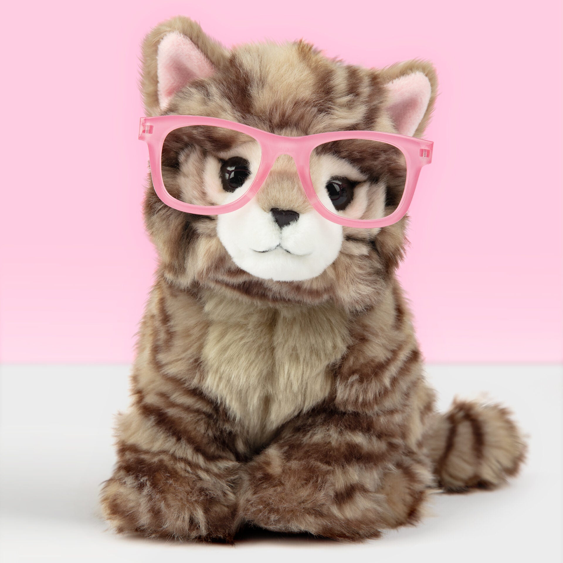 Pluche knuffelkat Britse Langhaar 23cm  - Set met koffertje