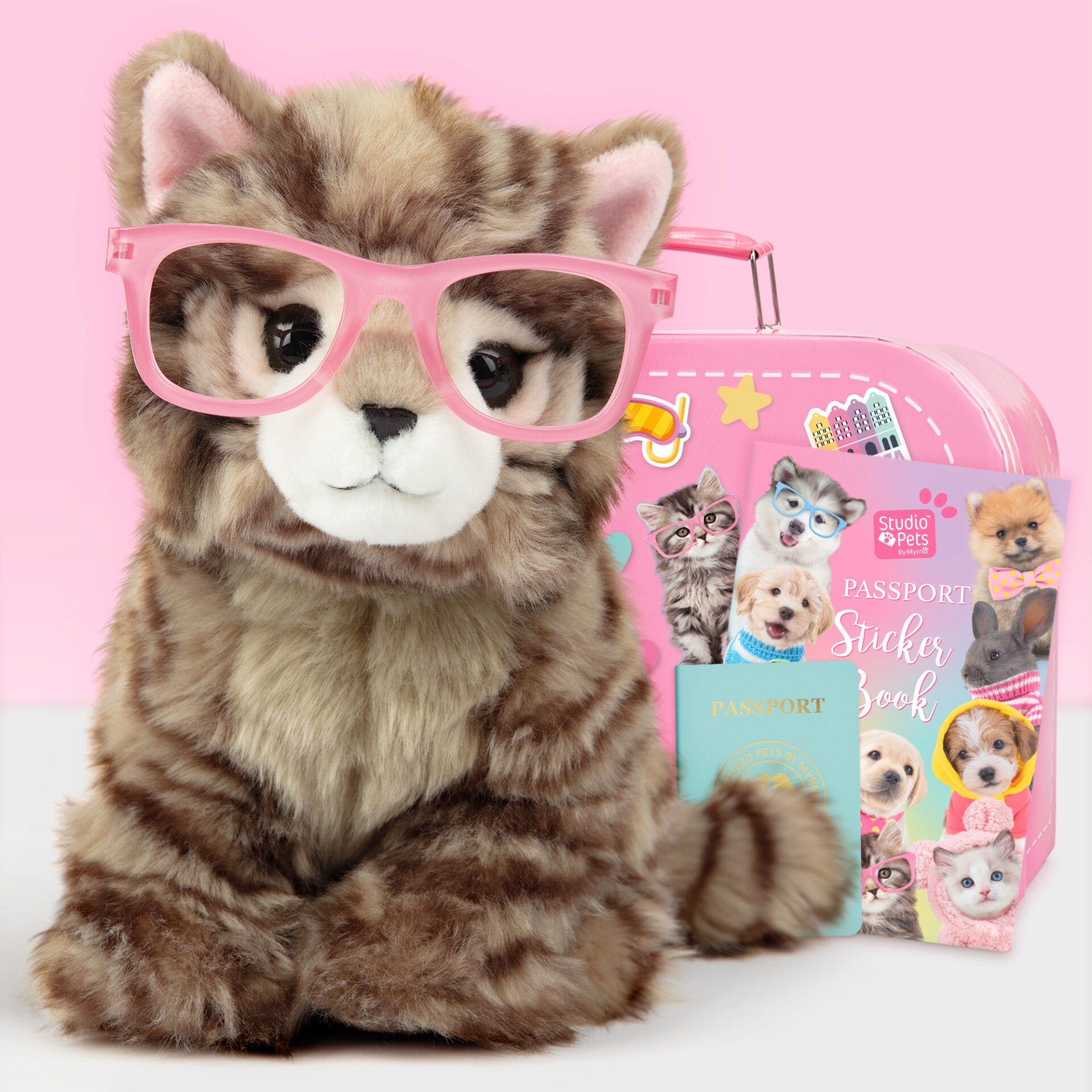 Pluche knuffelkat Britse Langhaar 23cm  - Set met koffertje