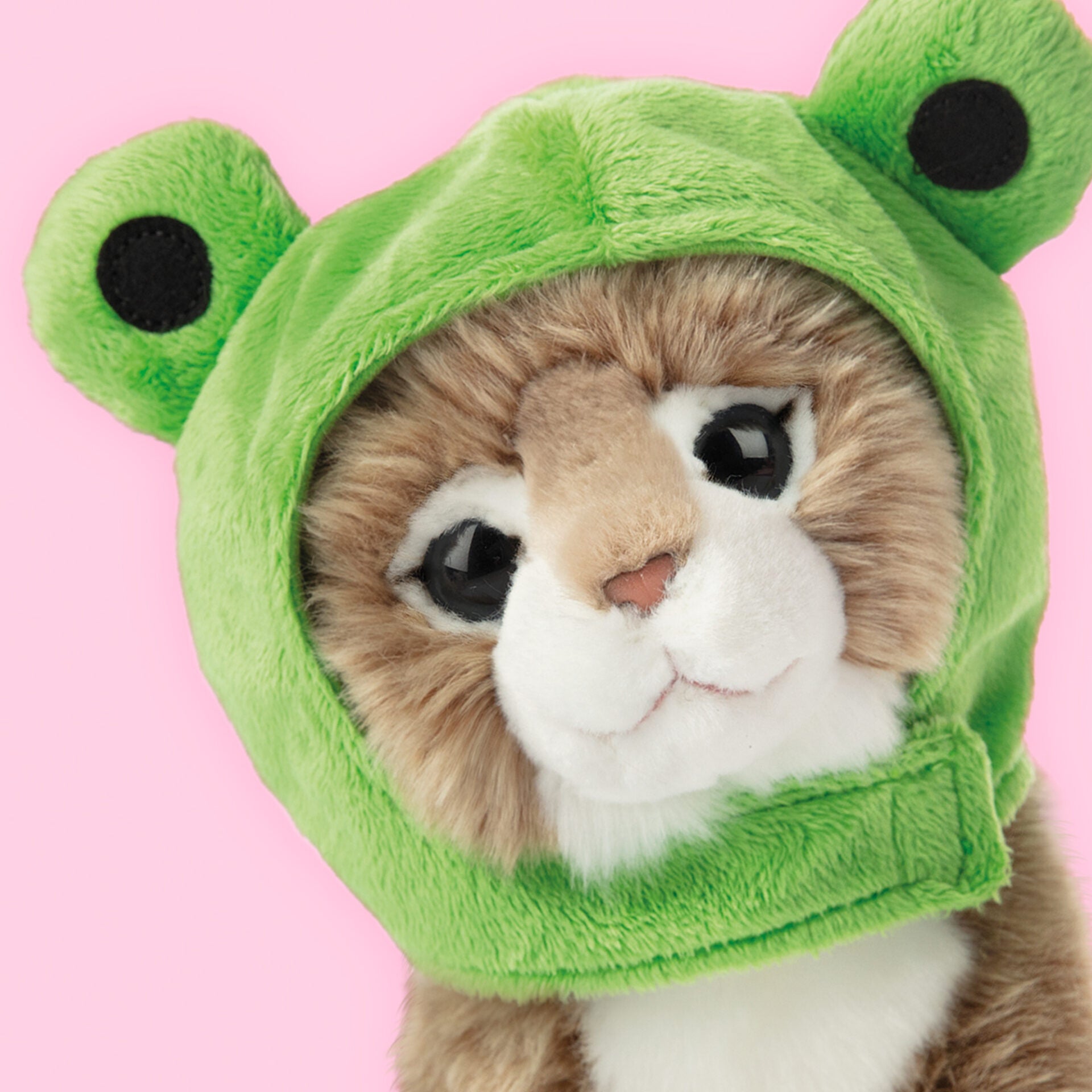 Pluche knuffelkat Main Coon 23cm  - Set met koffertje