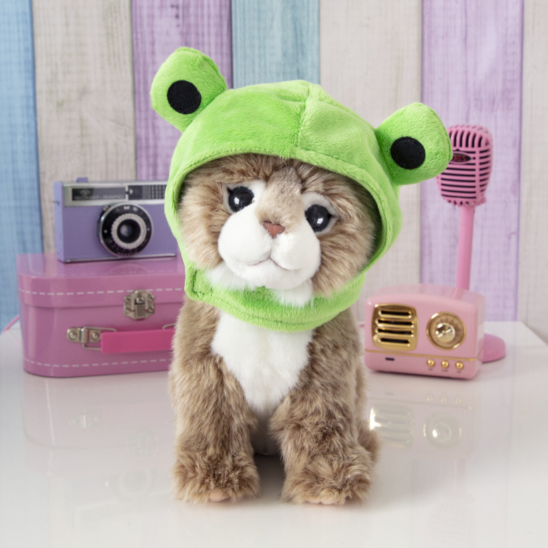 Pluche knuffelkat Main Coon 23cm  - Set met koffertje