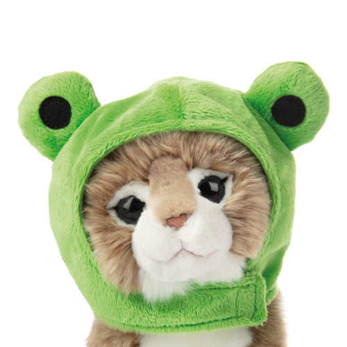 Pluche knuffelkat Main Coon 23cm  - Set met koffertje
