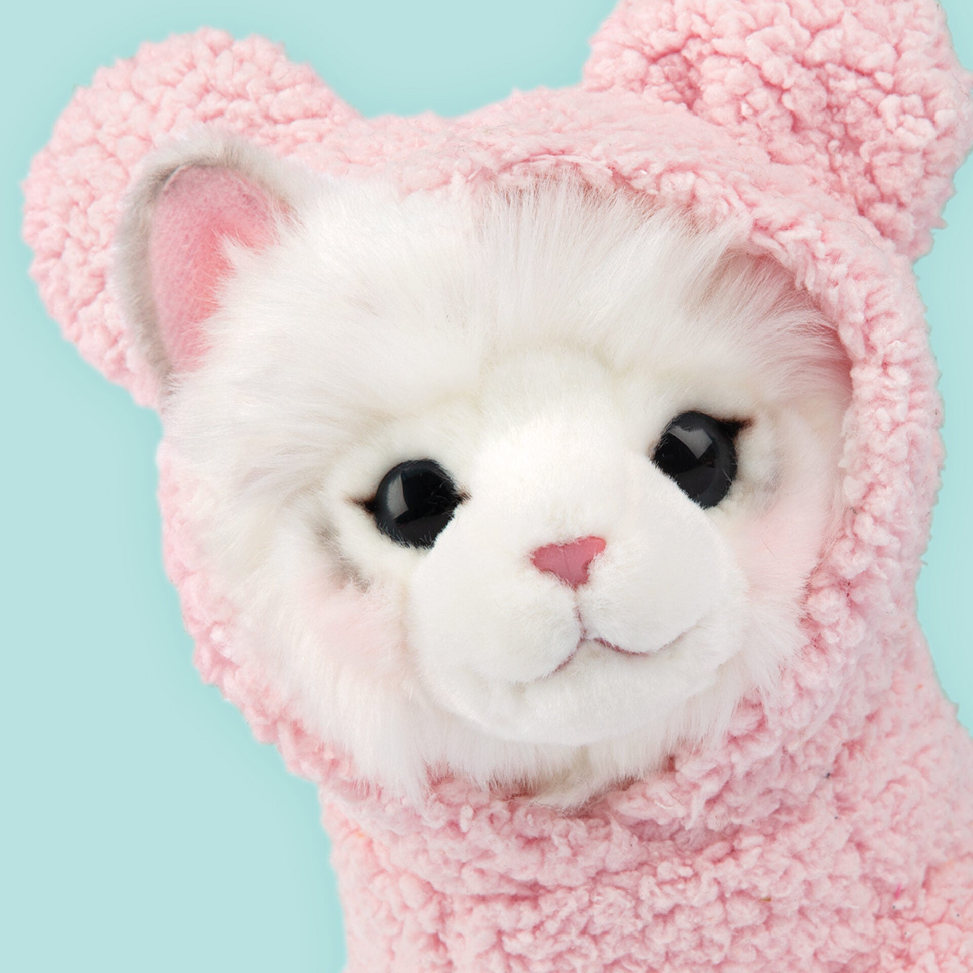 Pluche knuffelkat Ragdoll 23cm - Set met koffertje