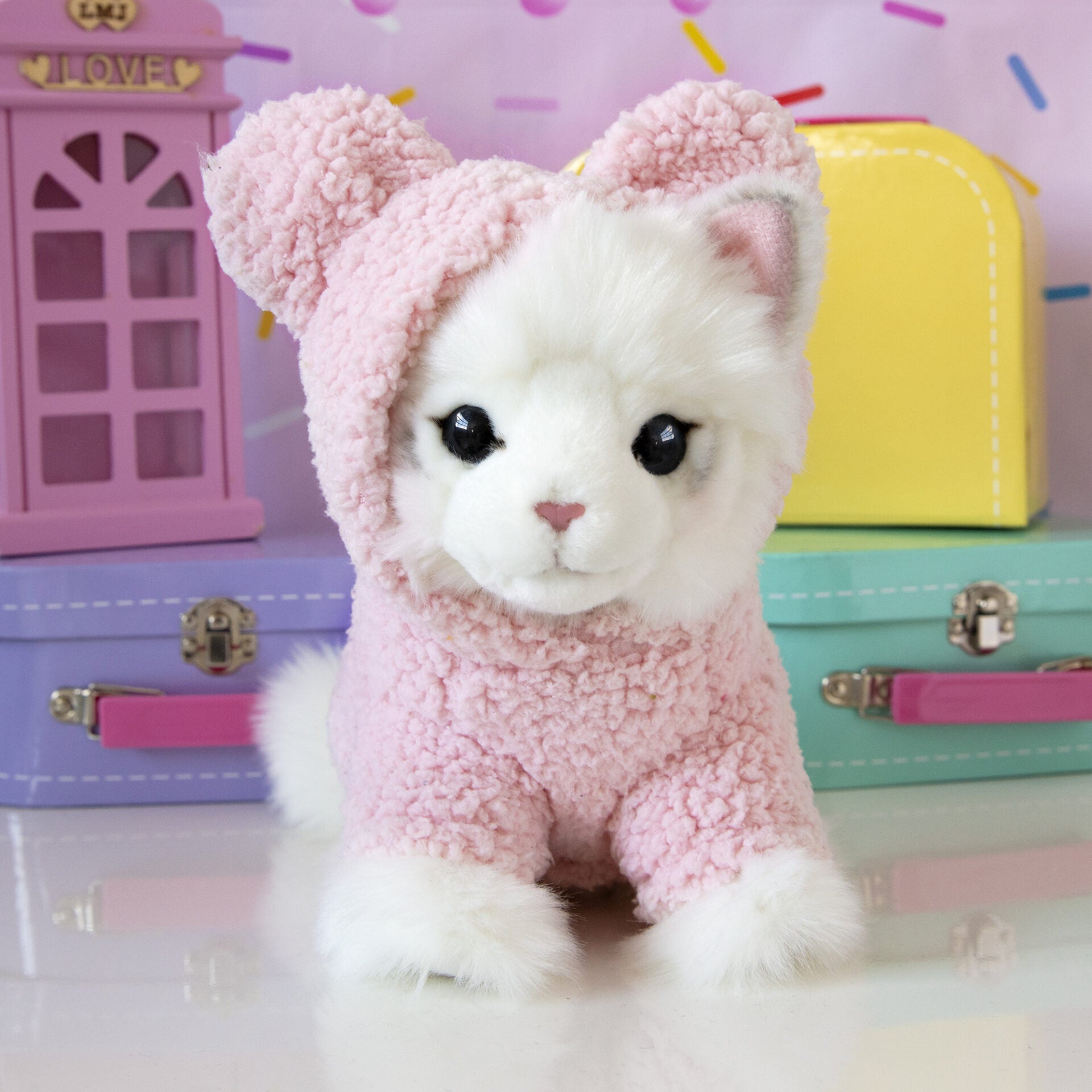 Pluche knuffelkat met naam Ragdoll 23cm