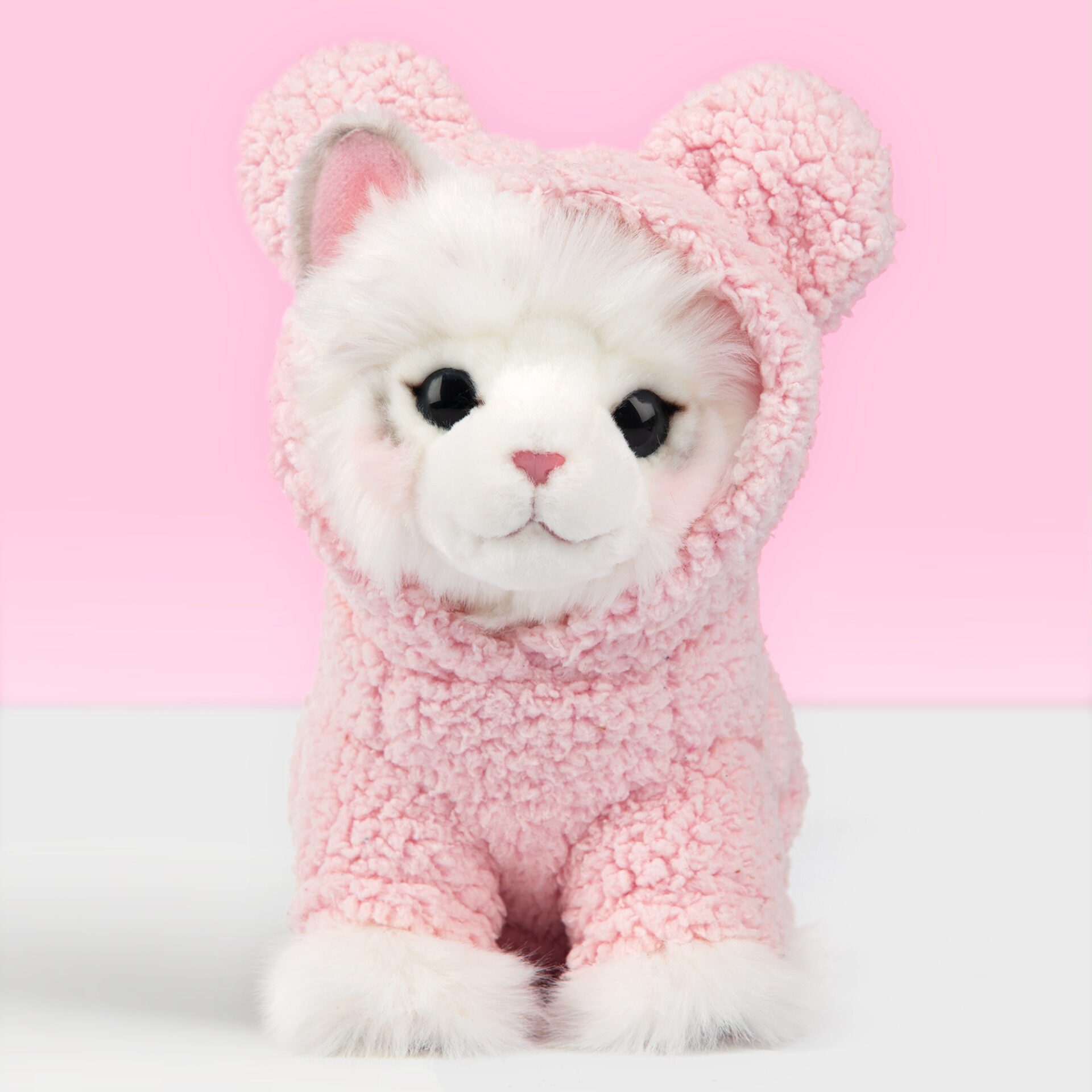 Pluche knuffelkat Ragdoll 23cm - Set met koffertje