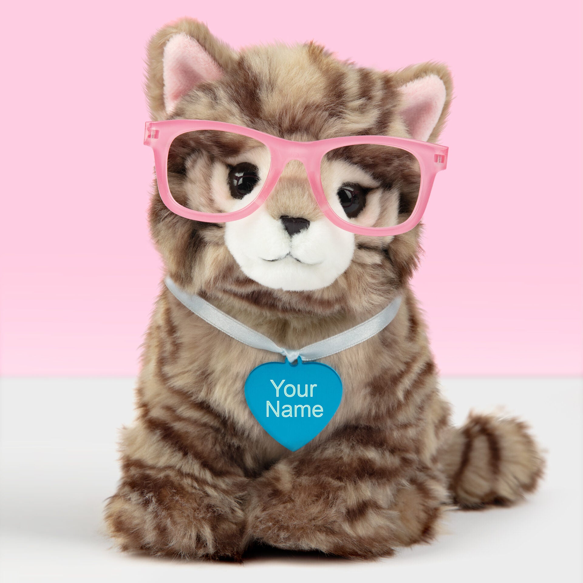 Pluche knuffelkat met Naam Britse Langhaar 23cm  - Set met koffertje