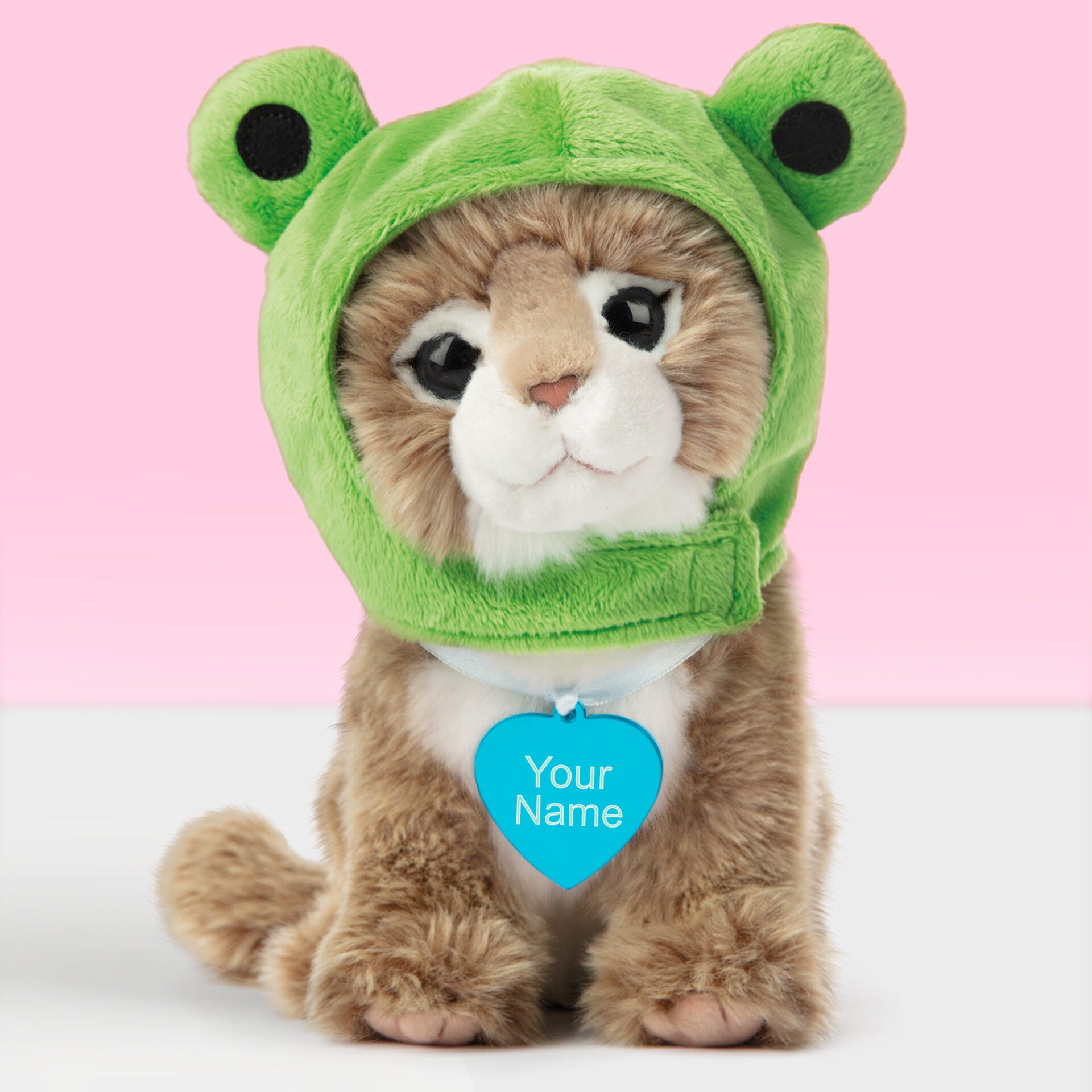 Pluche knuffelkat met Naam Main Coon 23cm  - Set met koffertje