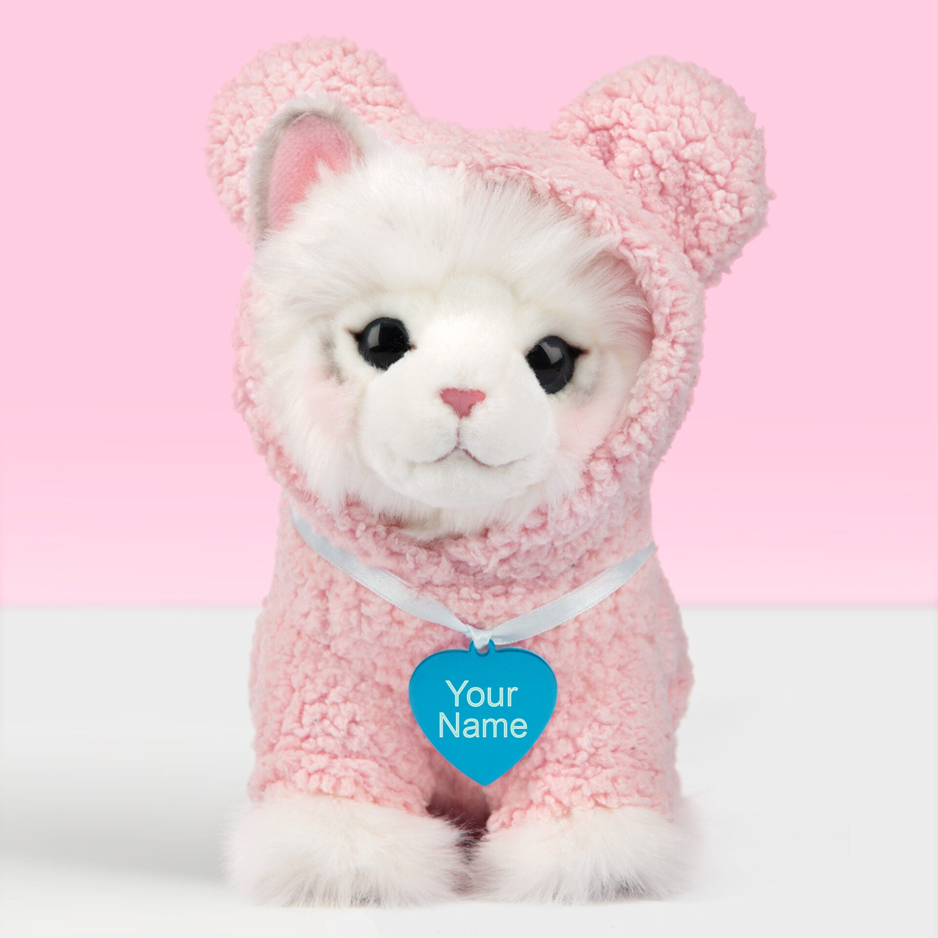 Pluche knuffelkat met naam Ragdoll 23cm