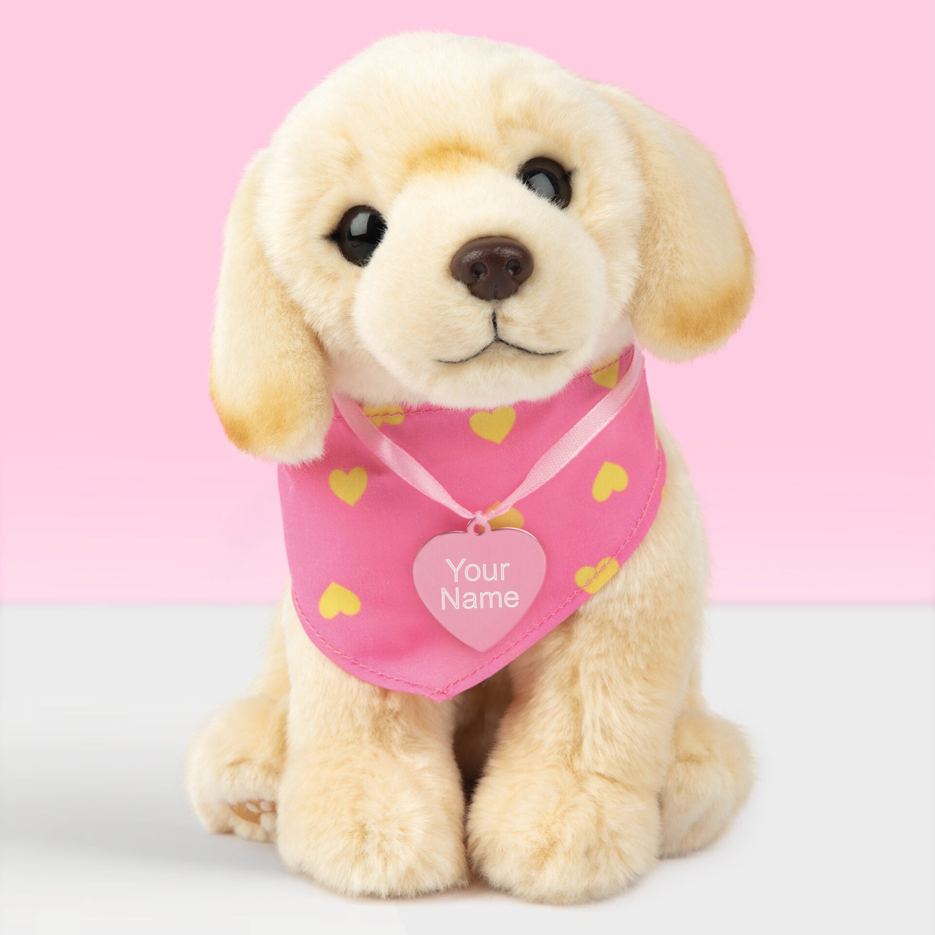 Pluche knuffelhond met Naam Blonde Labrador 23cm