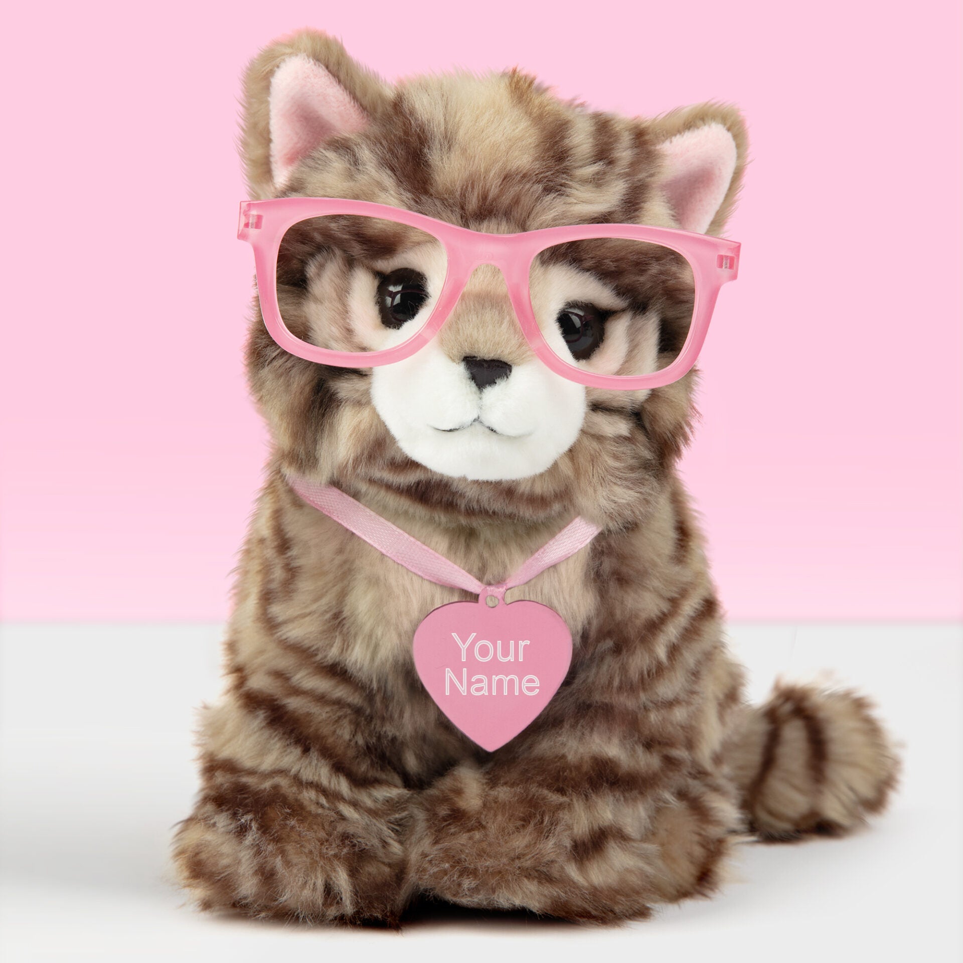 Pluche knuffelkat met Naam Britse Langhaar 23cm  - Set met koffertje