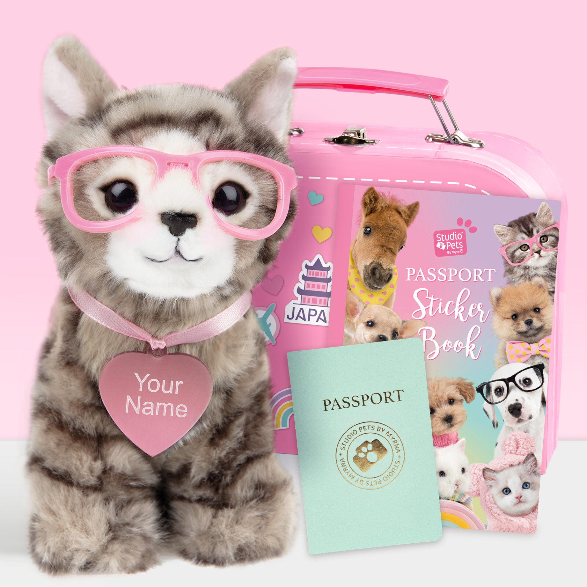 Pluche Knuffelkat met Naam Britse Korthaar 16cm - Set met koffertje