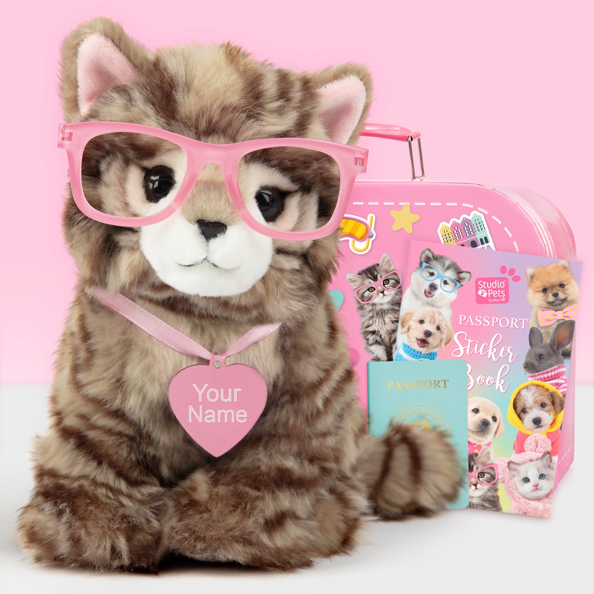Pluche knuffelkat met Naam Britse Langhaar 23cm  - Set met koffertje
