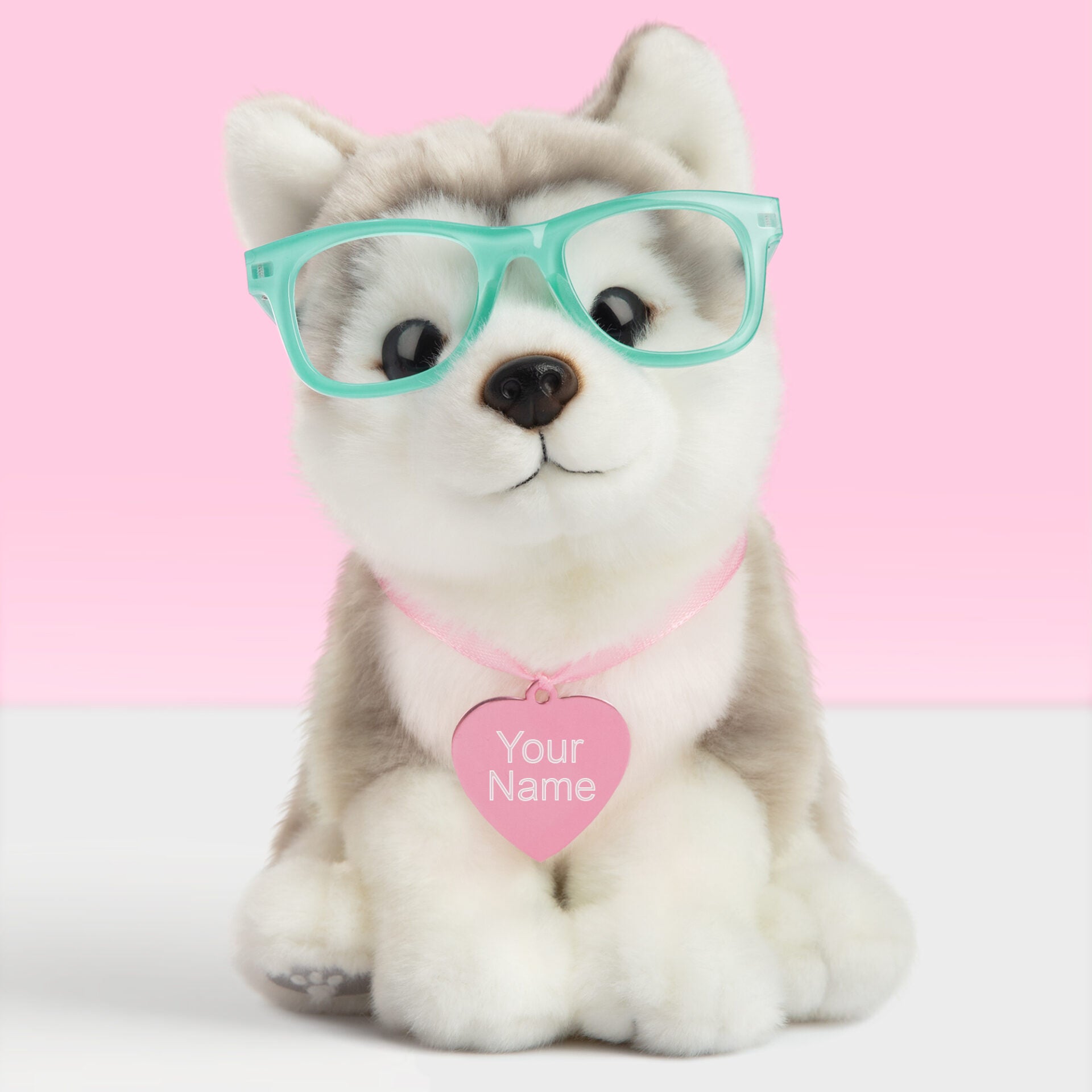 Pluche knuffelhond met Naam Alaska Malamute 23cm - Set met koffertje