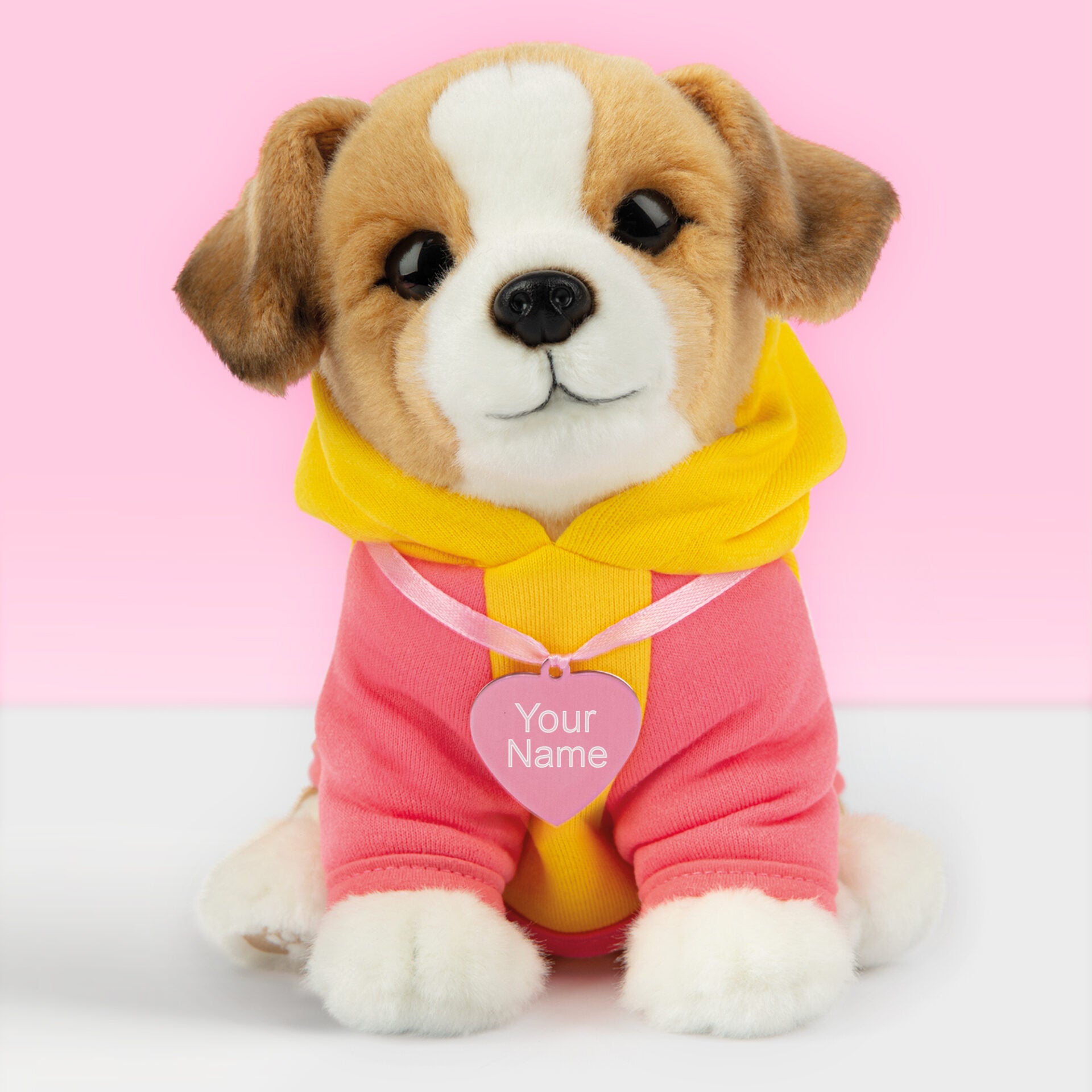 Pluche knuffelhond met Naam Jack Russell 23cm  - Set met koffertje