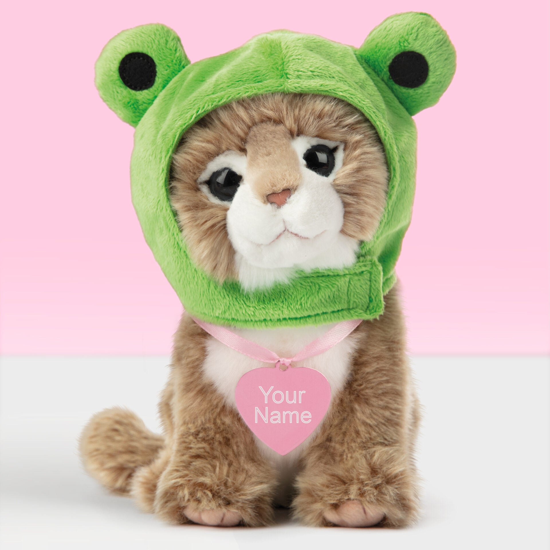 Pluche knuffelkat met Naam Main Coon 23cm