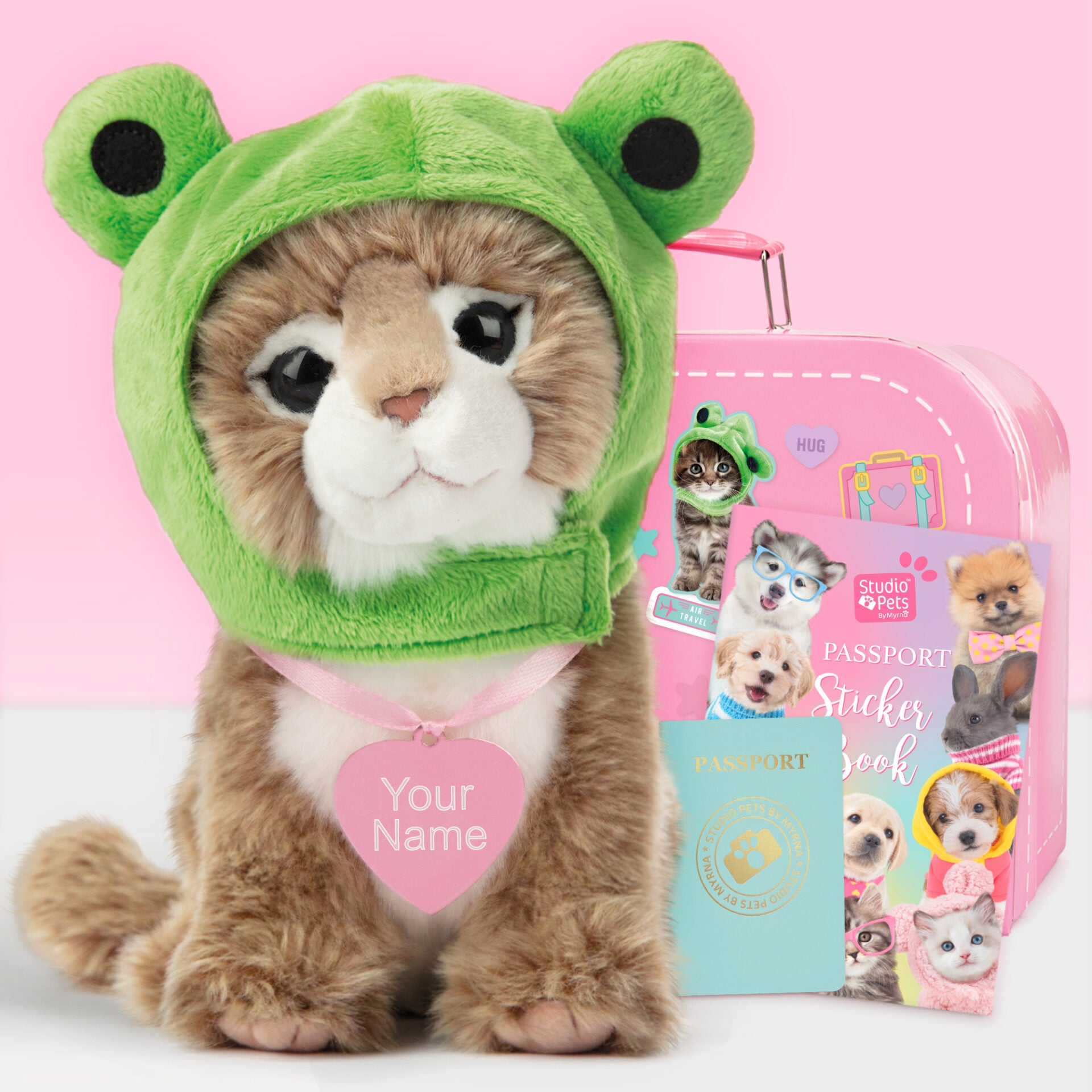 Pluche knuffelkat met Naam Main Coon 23cm  - Set met koffertje