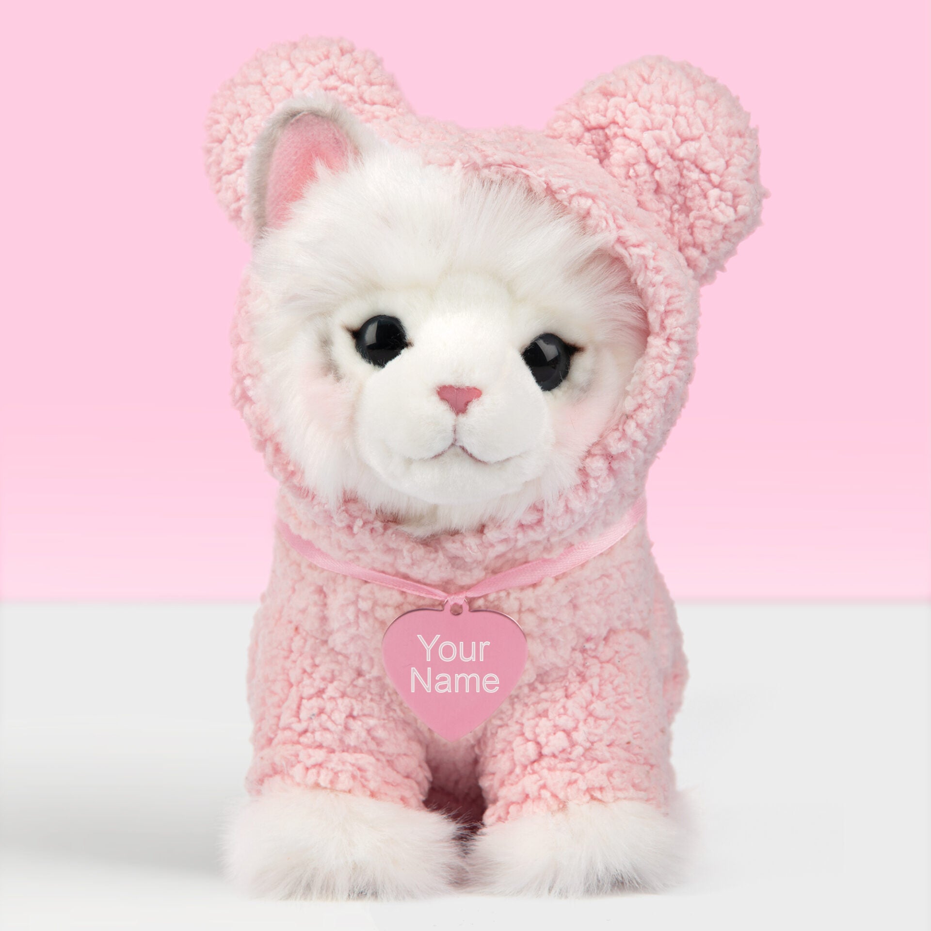 Pluche knuffelkat met Naam Ragdoll 23cm - Set met koffertje