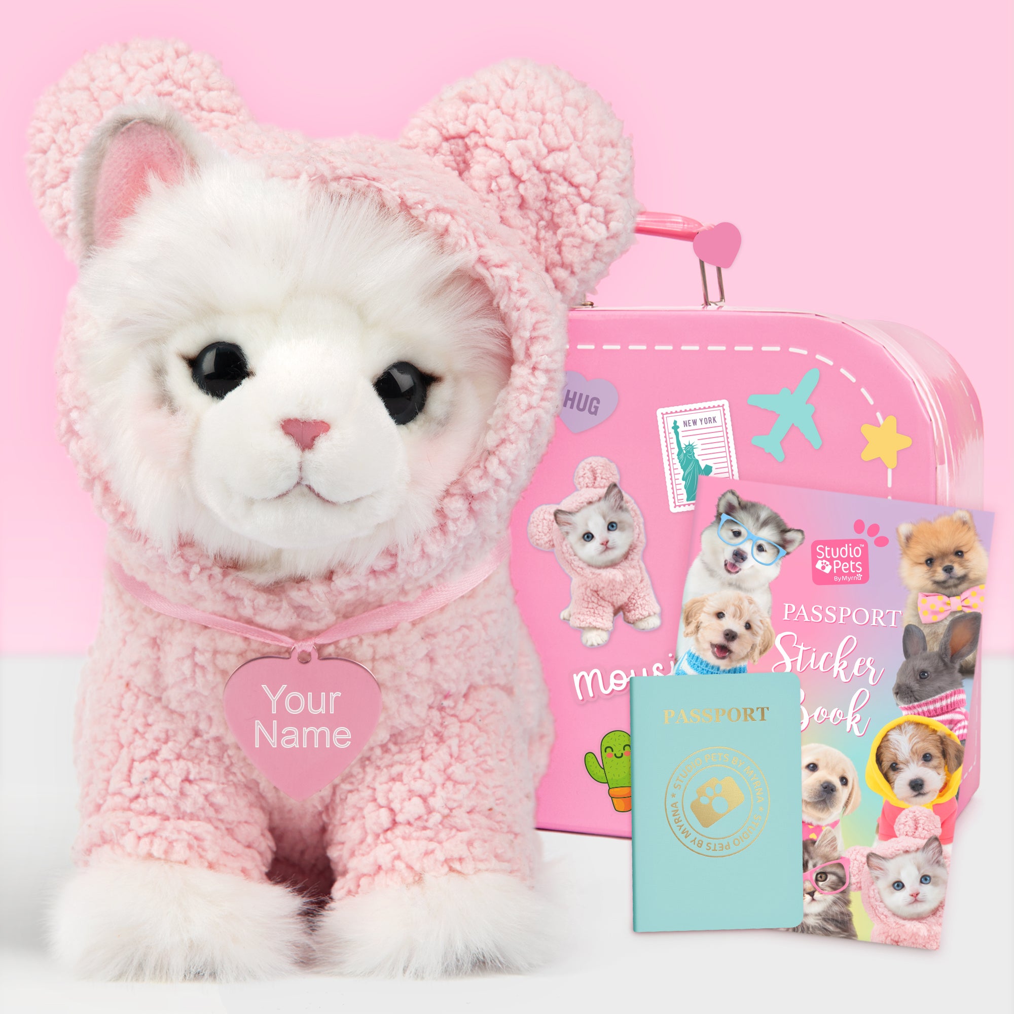 Pluche knuffelkat met Naam Ragdoll 23cm - Set met koffertje