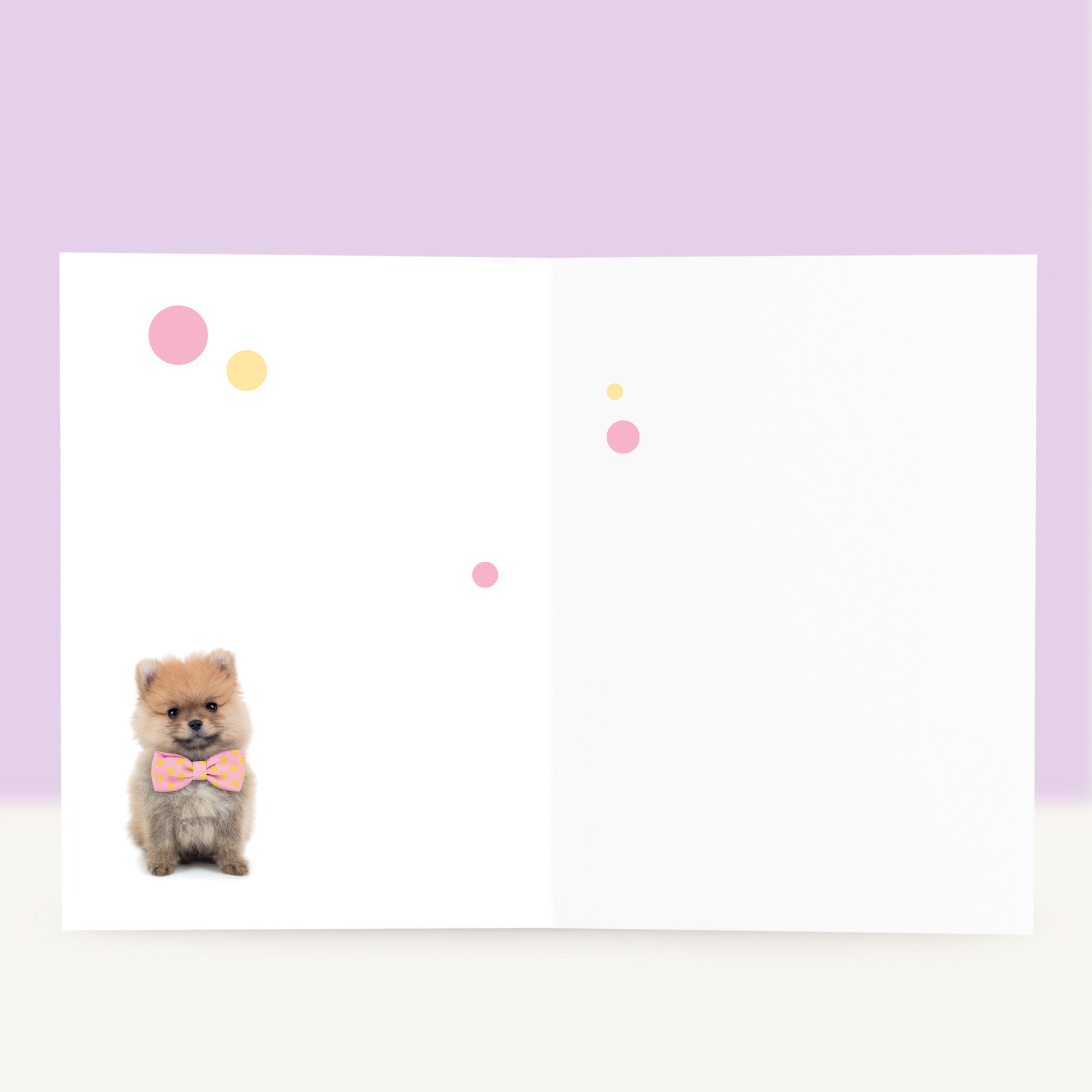 Puppy Verjaardagskaart - PomPom de Pomeraniaan