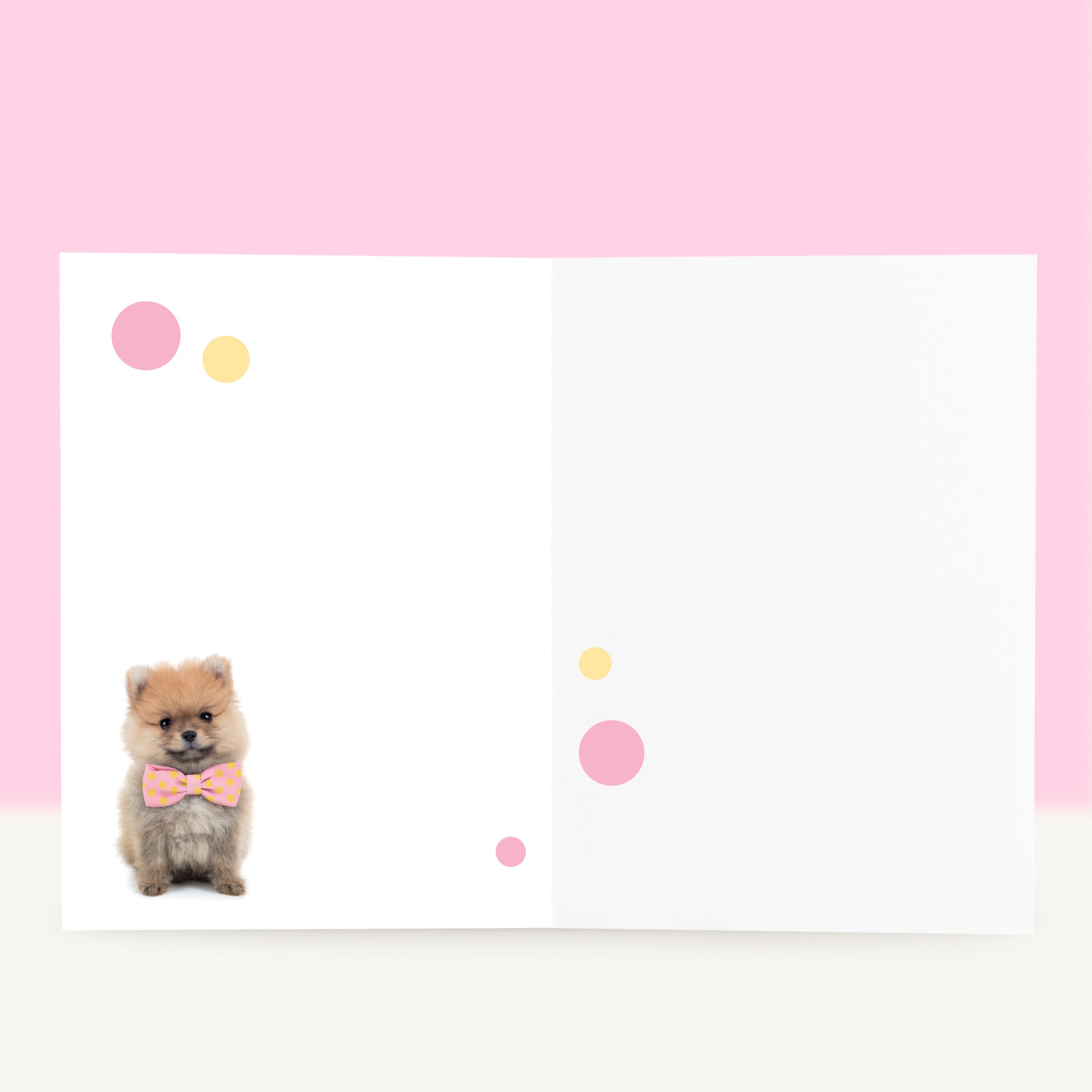Puppy Beterschapskaart - PomPom de Pomeraniaan