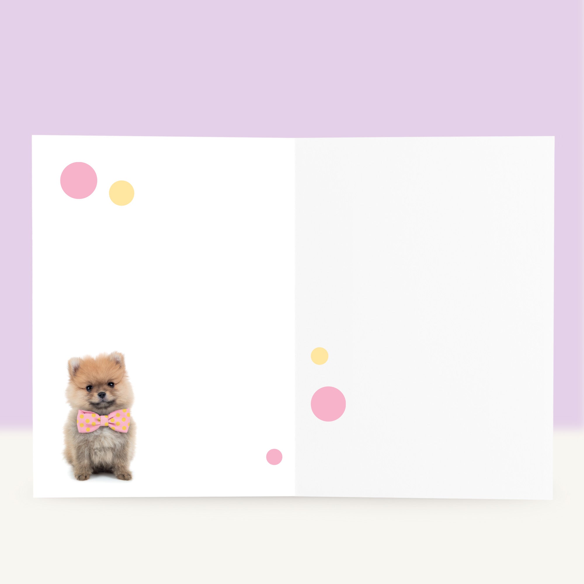 Puppy Beterschapskaart - PomPom de Pomeraniaan NL