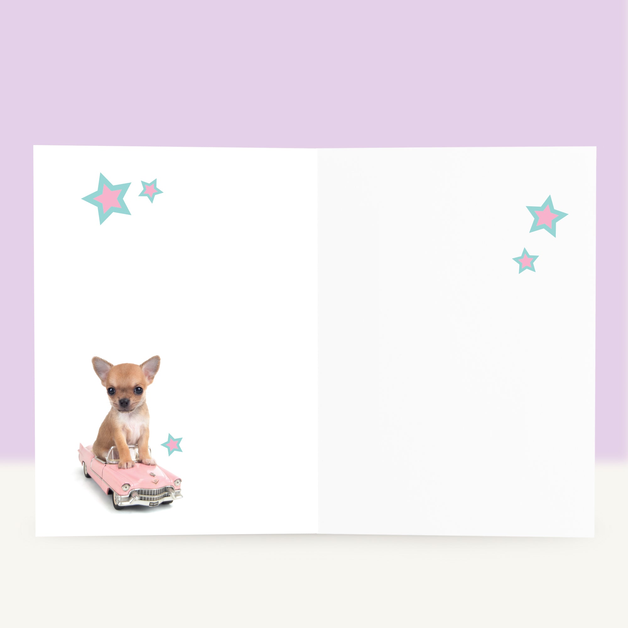 Wenskaart “Hop in Let’s Party” met de Chihuahua puppy
